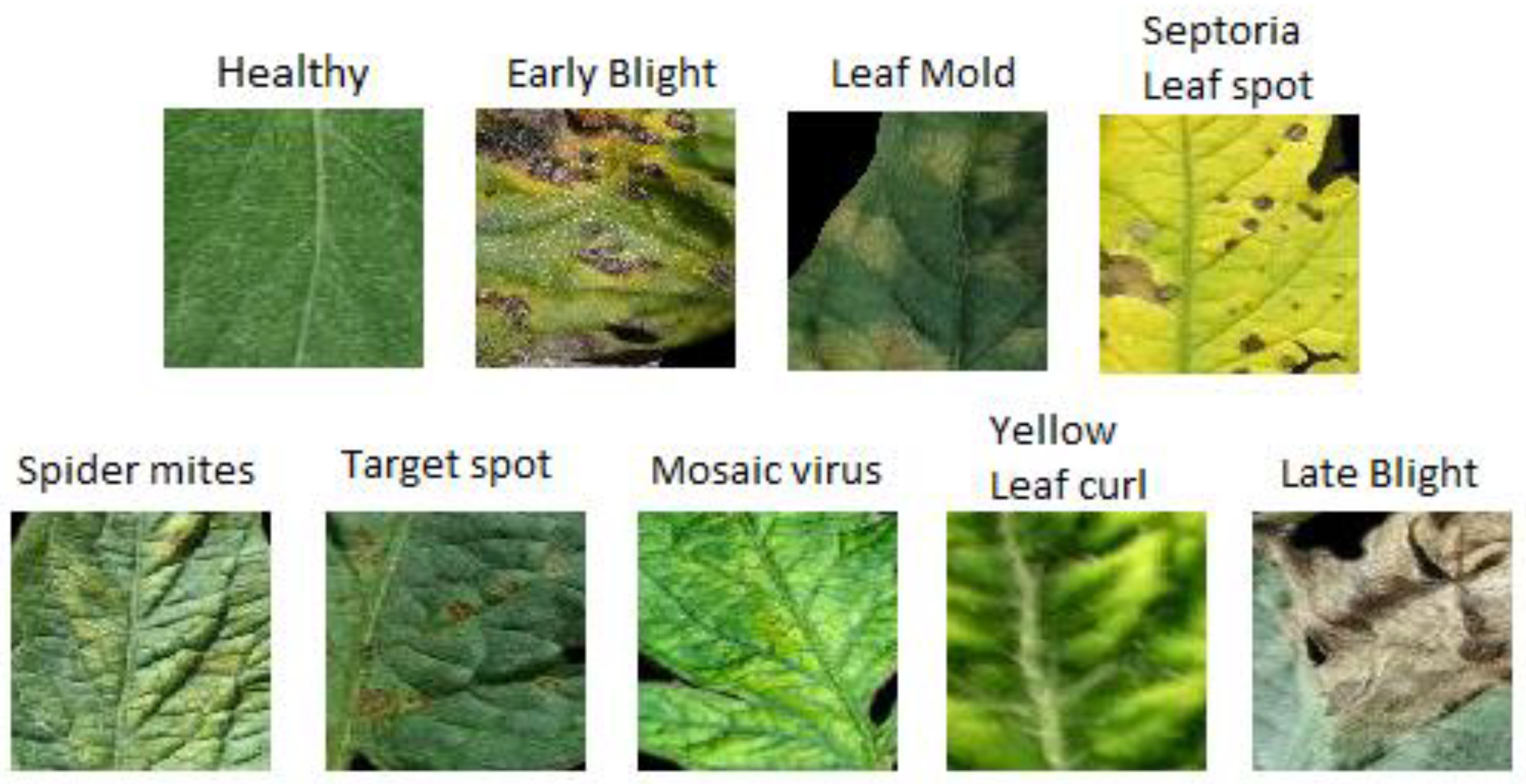 Agriculture 12 01964 g007