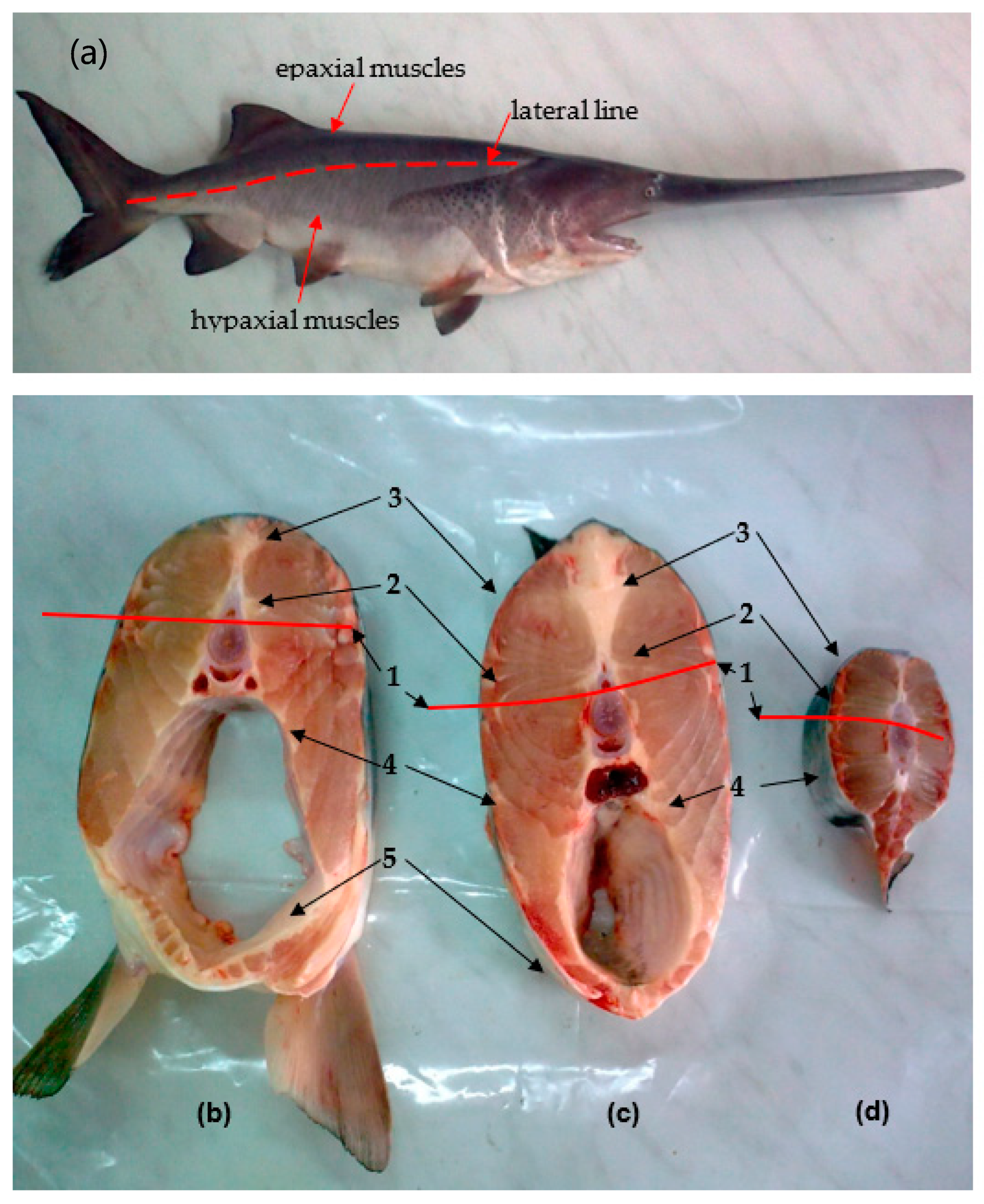 Agriculture 12 01965 g001