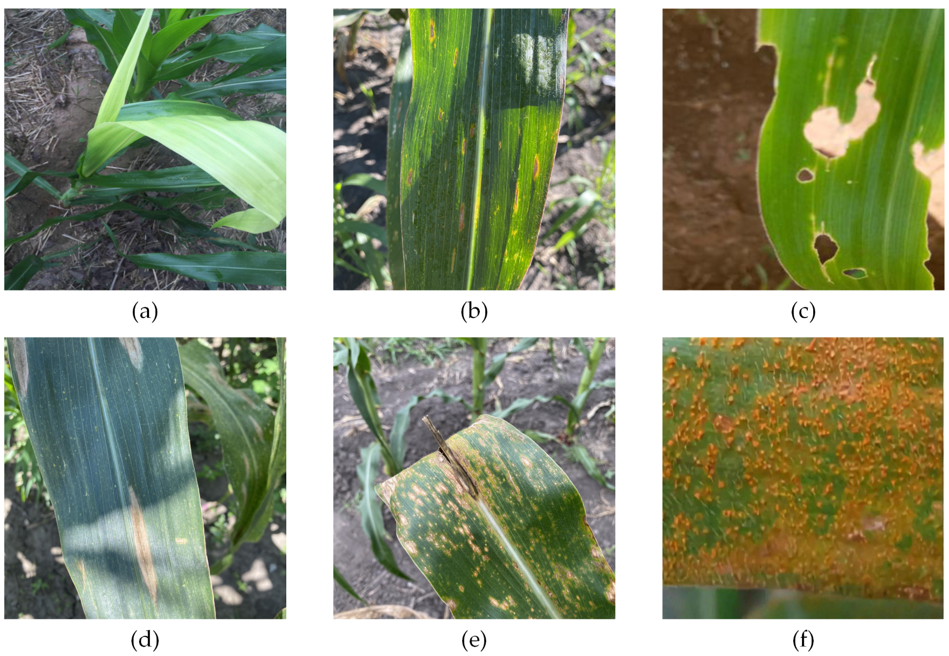 Agriculture 12 02047 g001