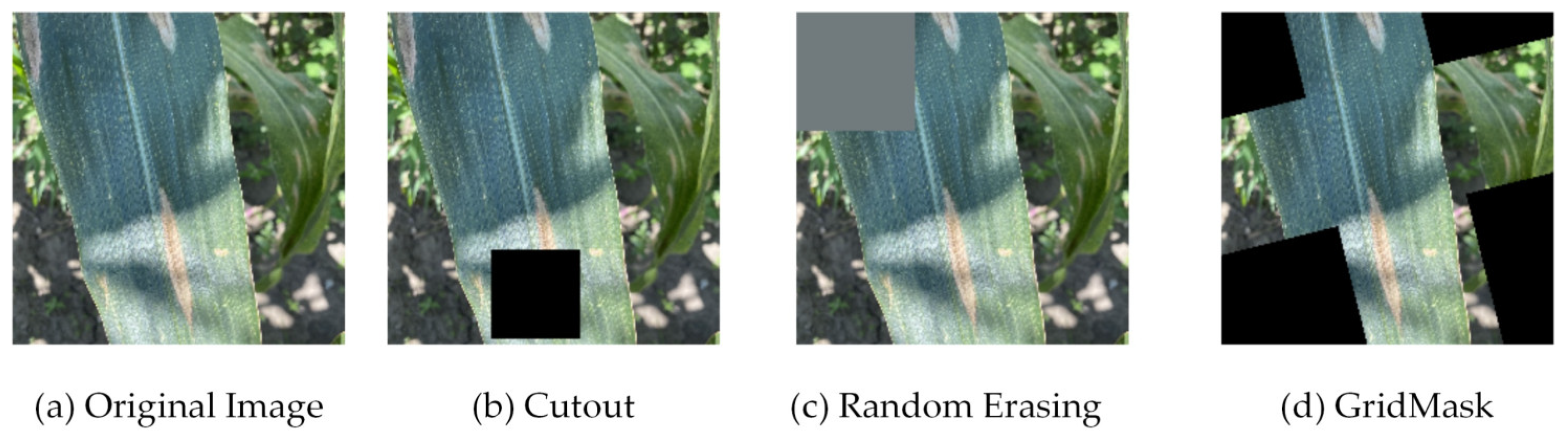 Agriculture 12 02047 g003