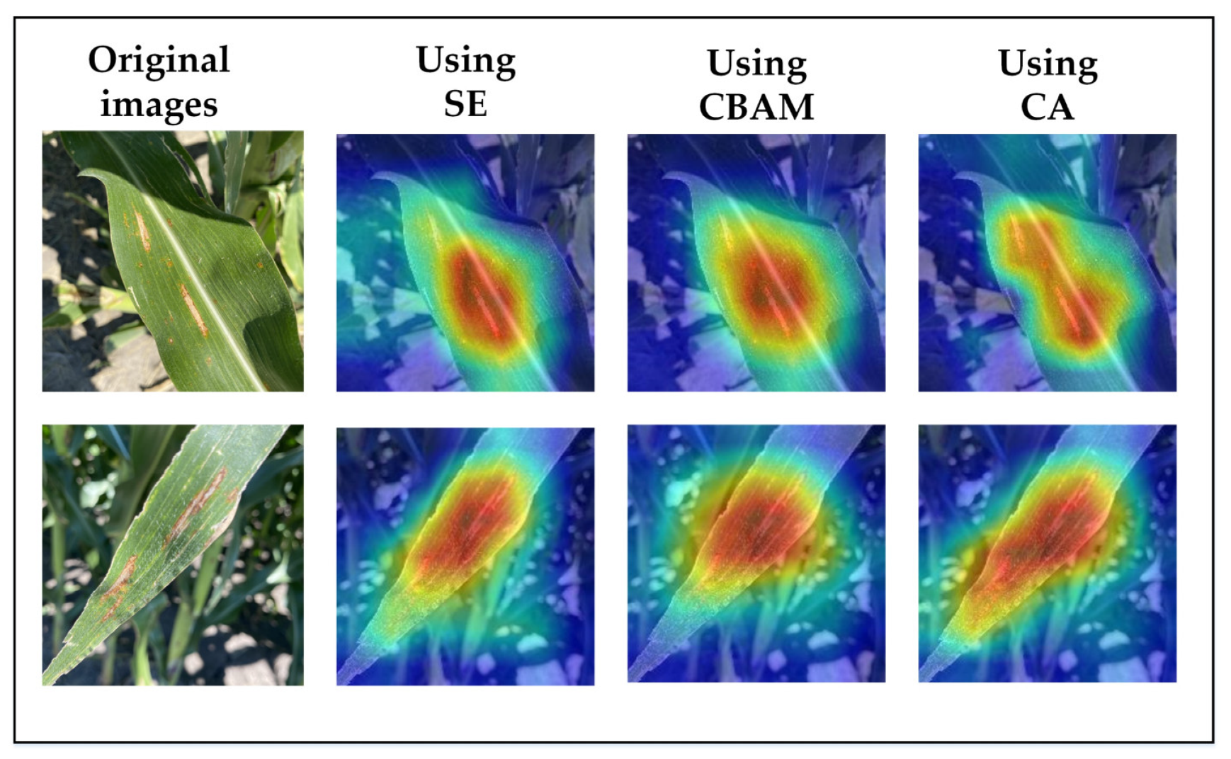 Agriculture 12 02047 g012