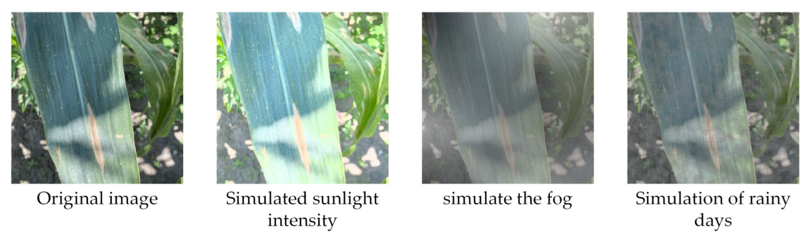 Agriculture 12 02047 g013