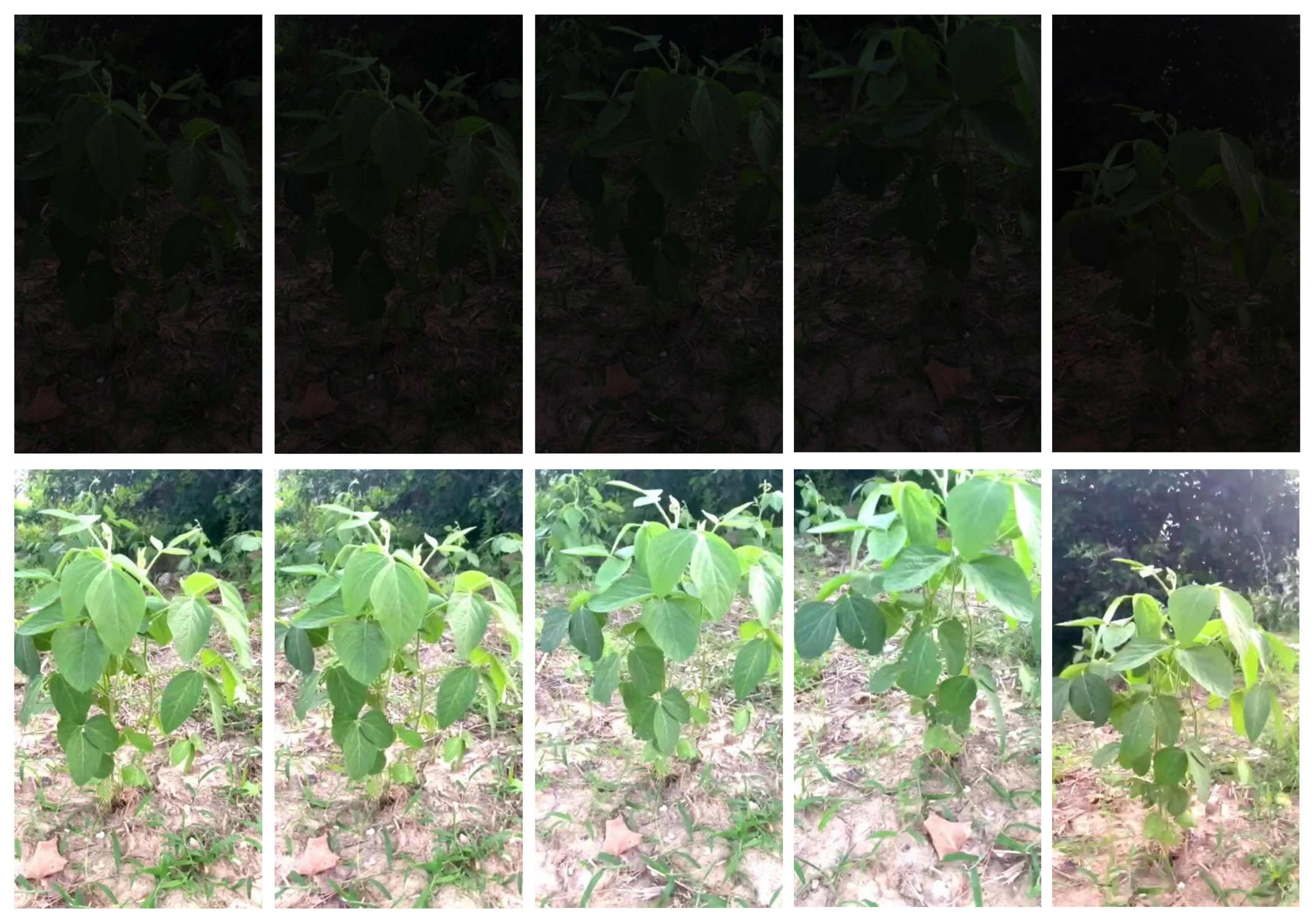 Agriculture 12 02067 g002