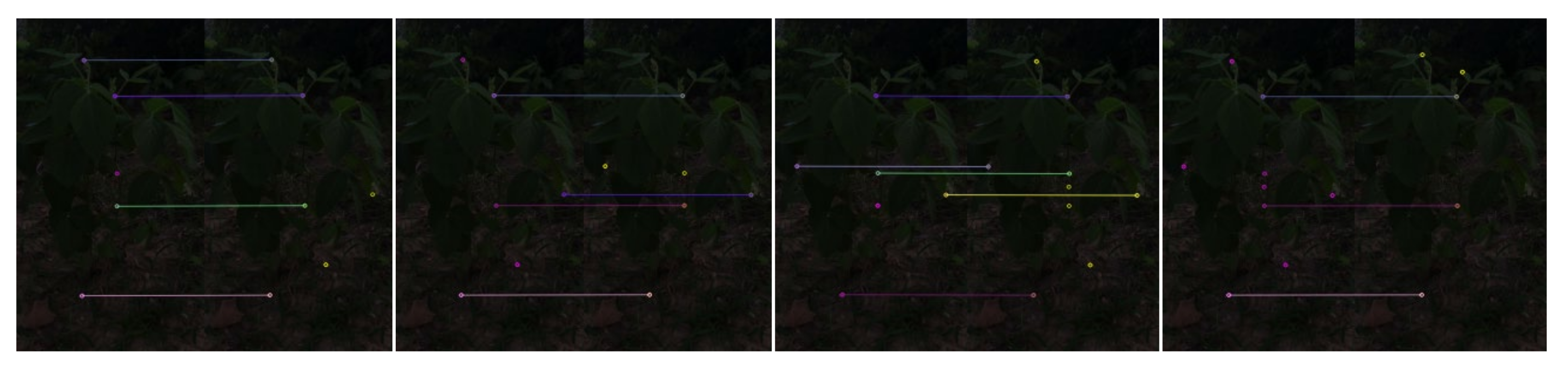 Agriculture 12 02067 g008