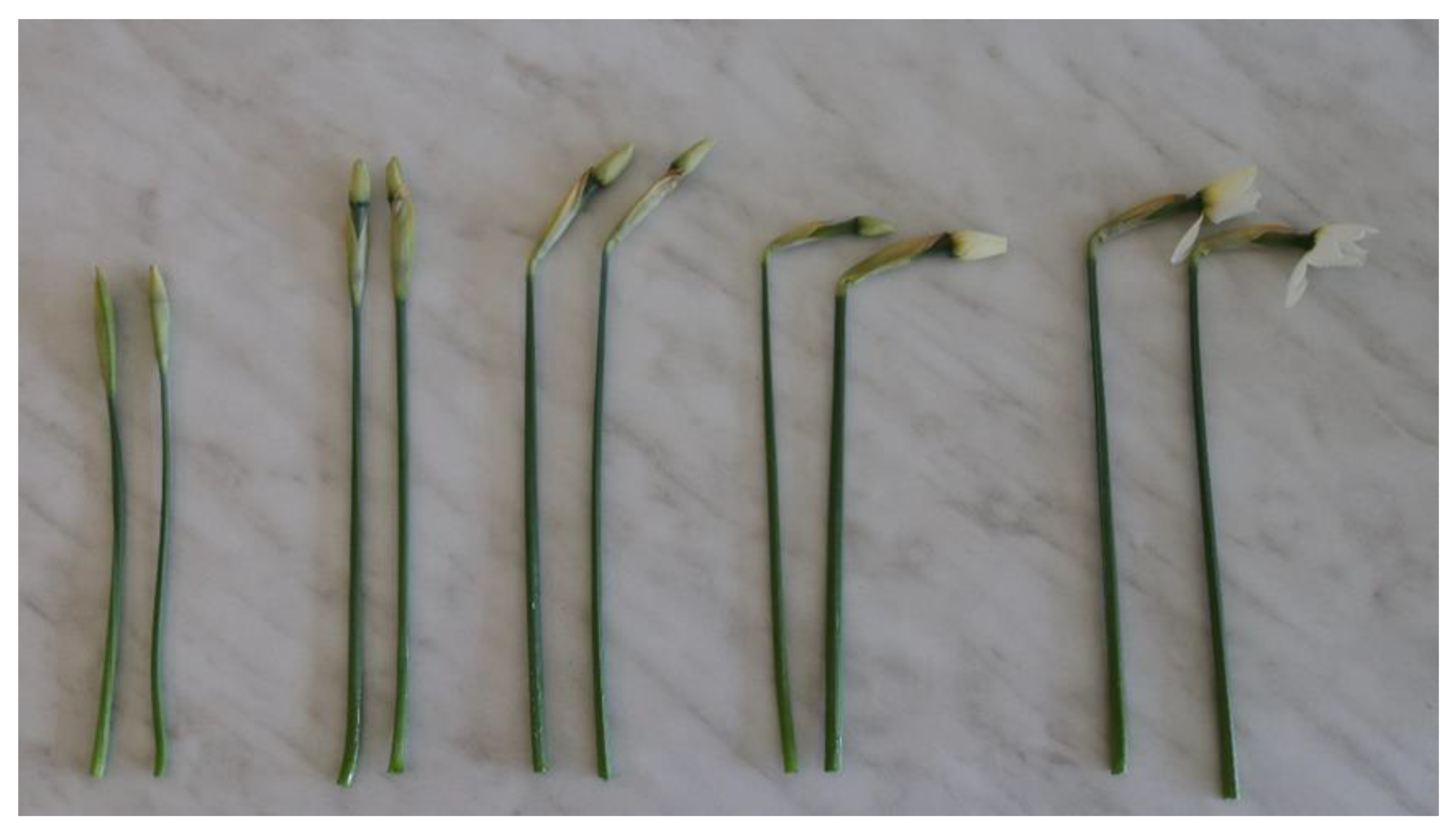 Agriculture 12 02114 g002