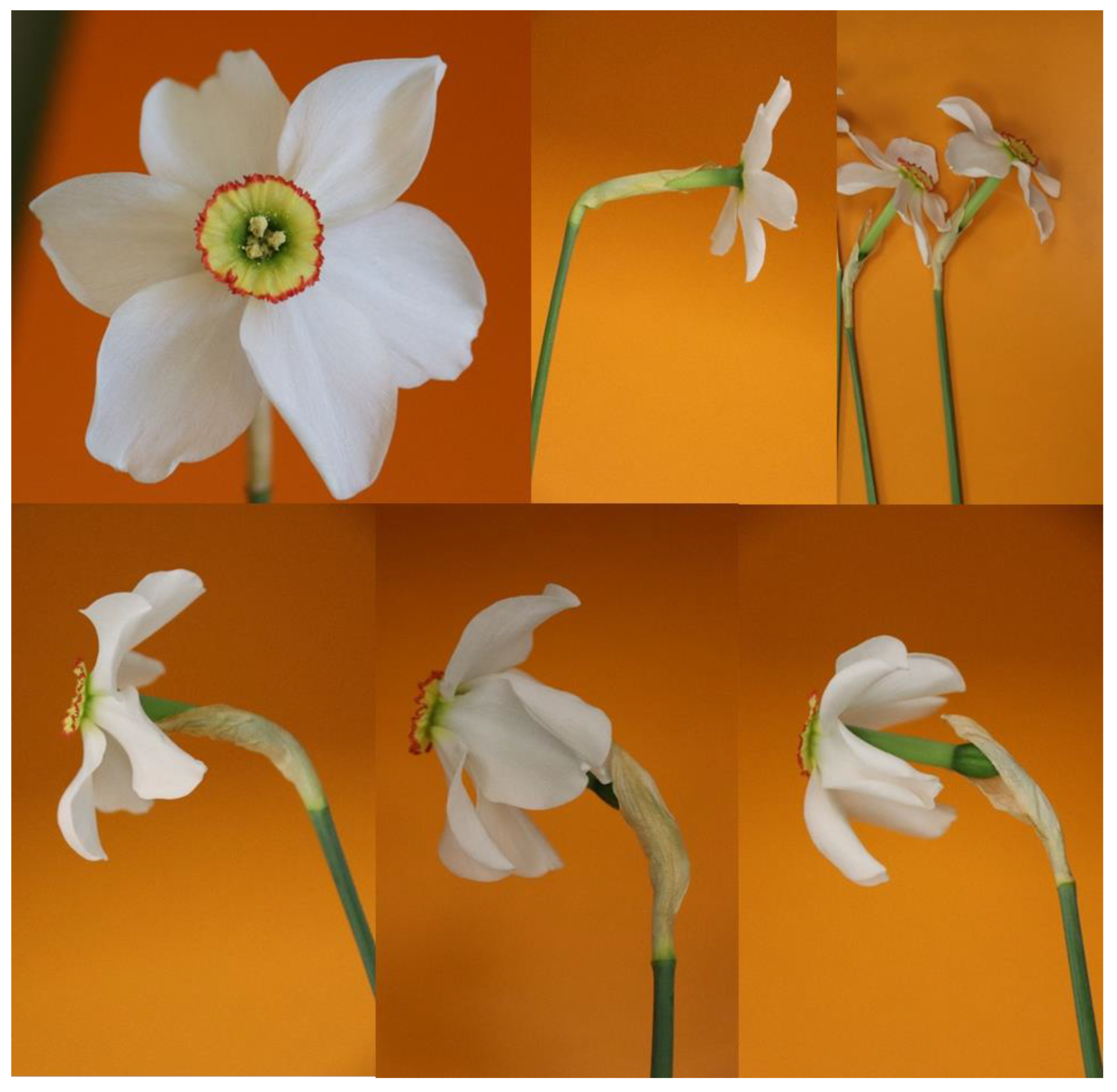 Agriculture 12 02114 g003