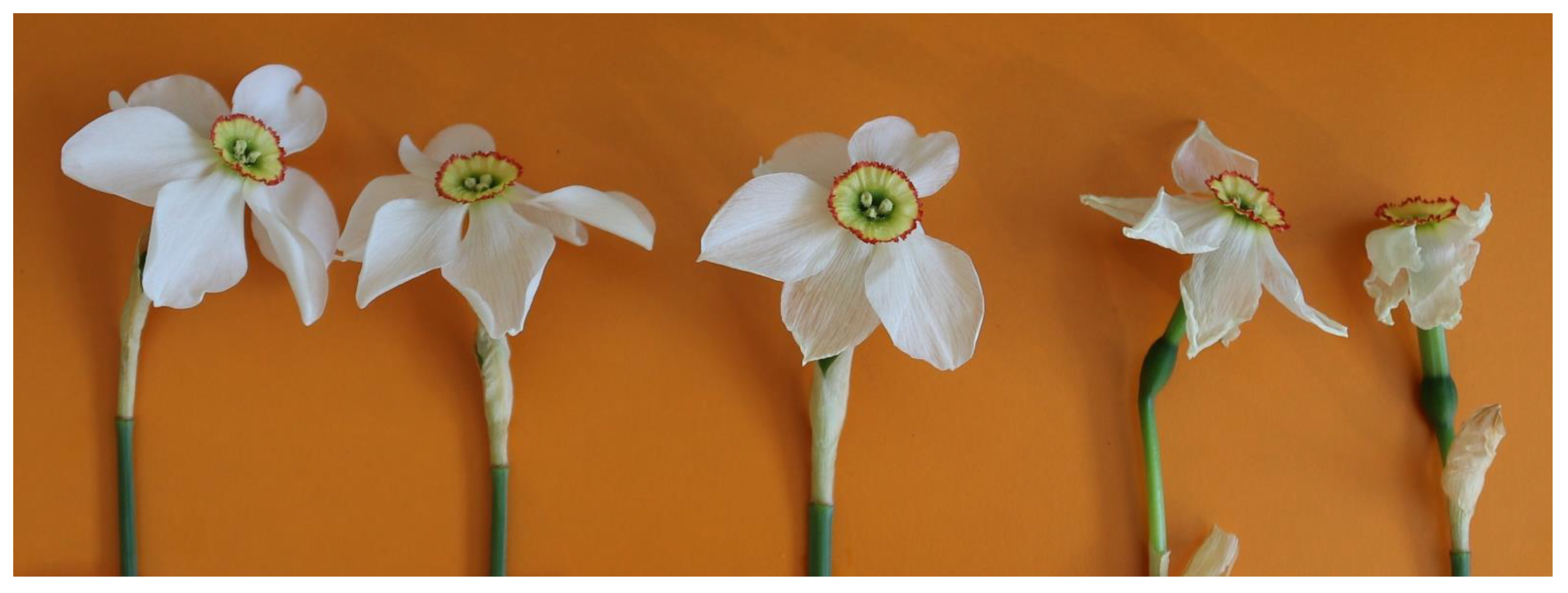 Agriculture 12 02114 g004