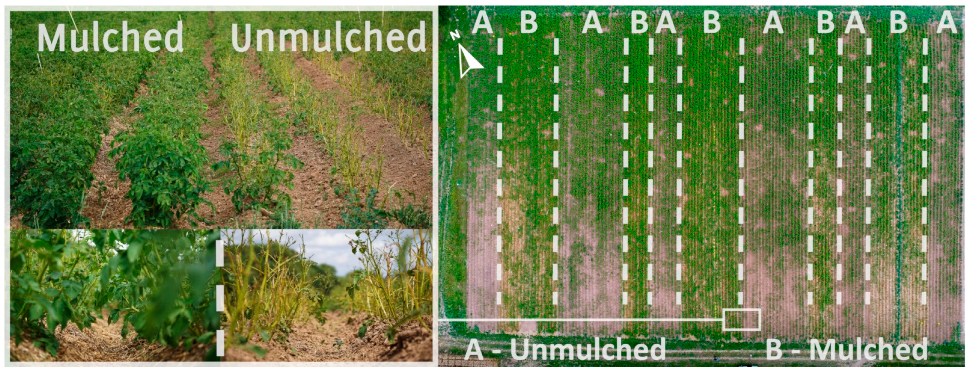 Agriculture 12 02130 g004