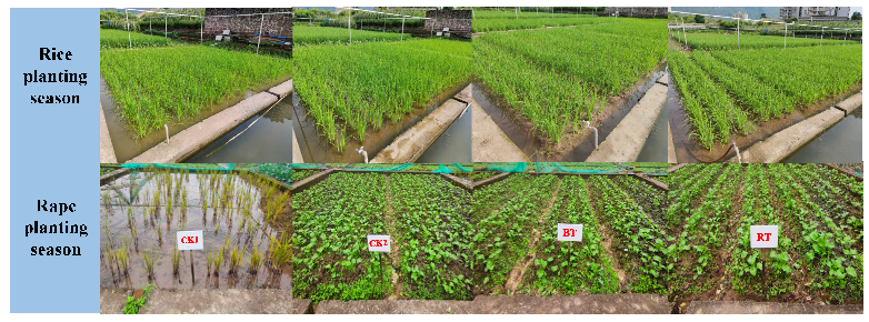 Agriculture 12 02147 g001