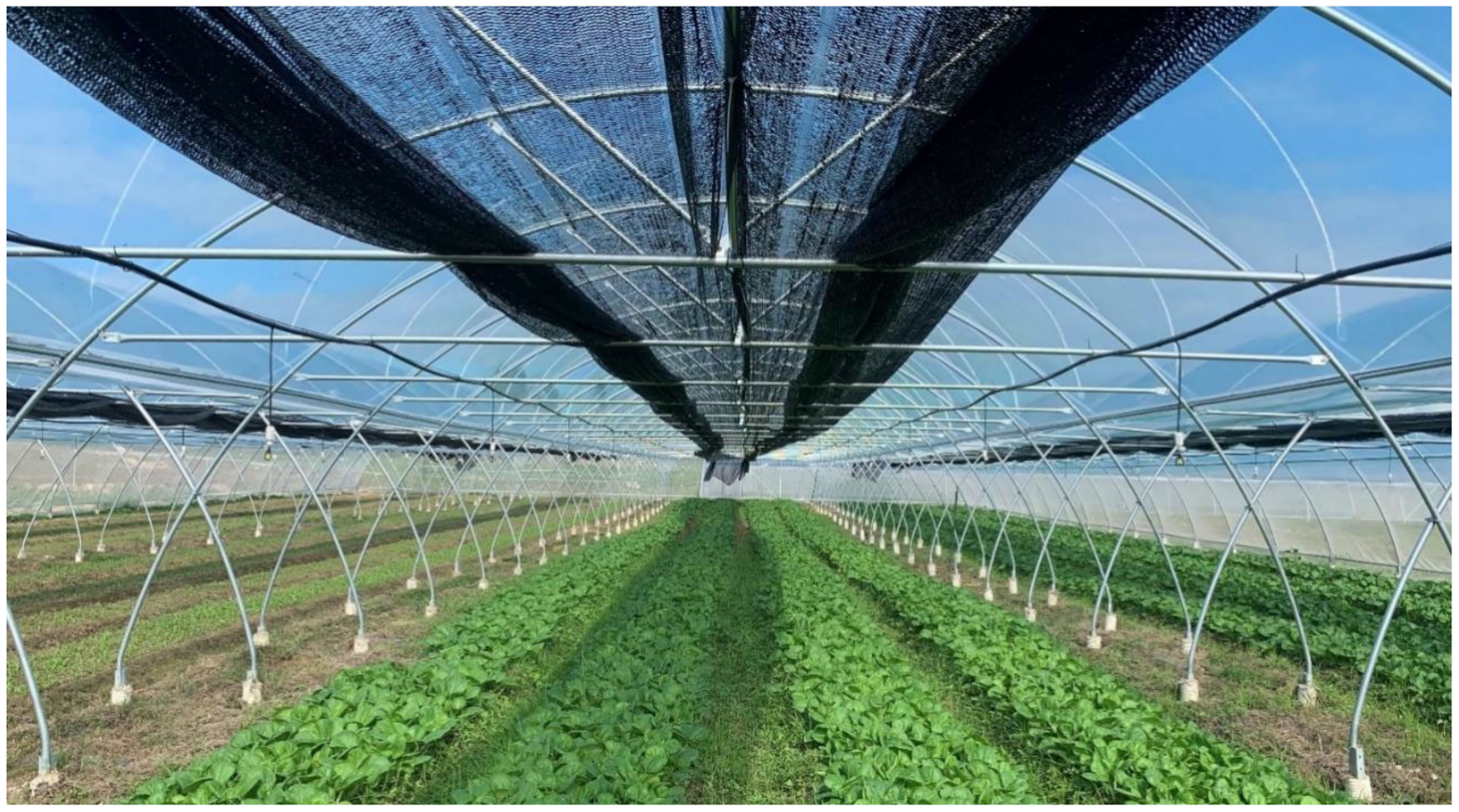 Agriculture 12 02164 g007