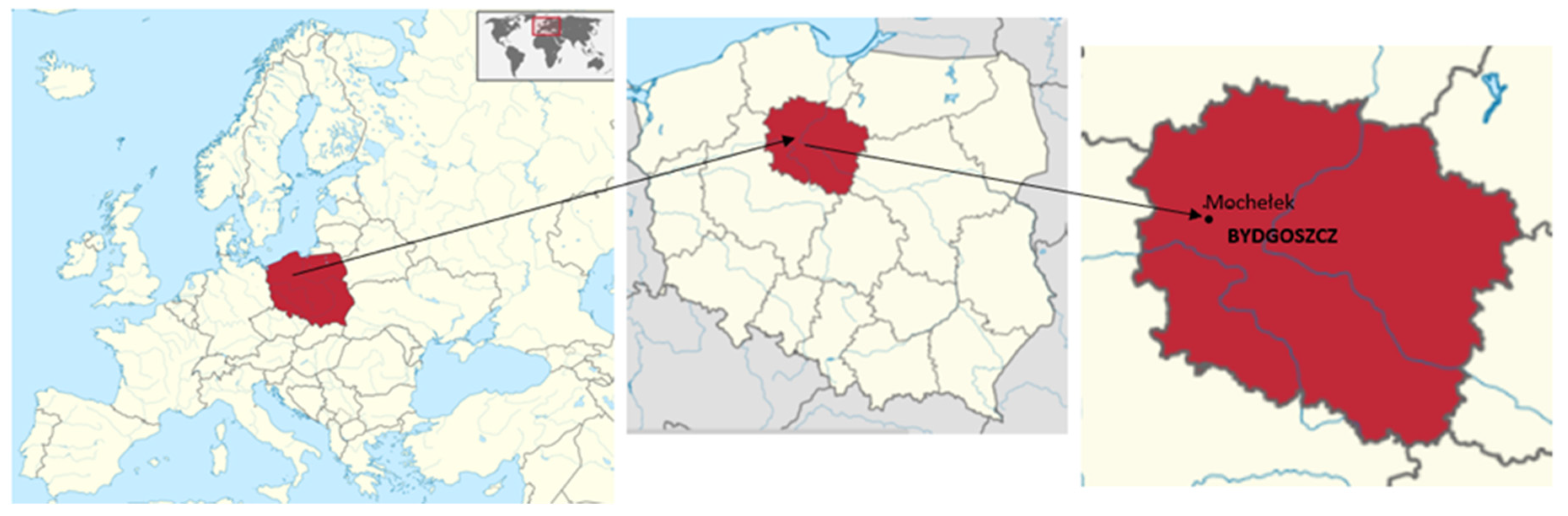 Agriculture 13 00003 g001