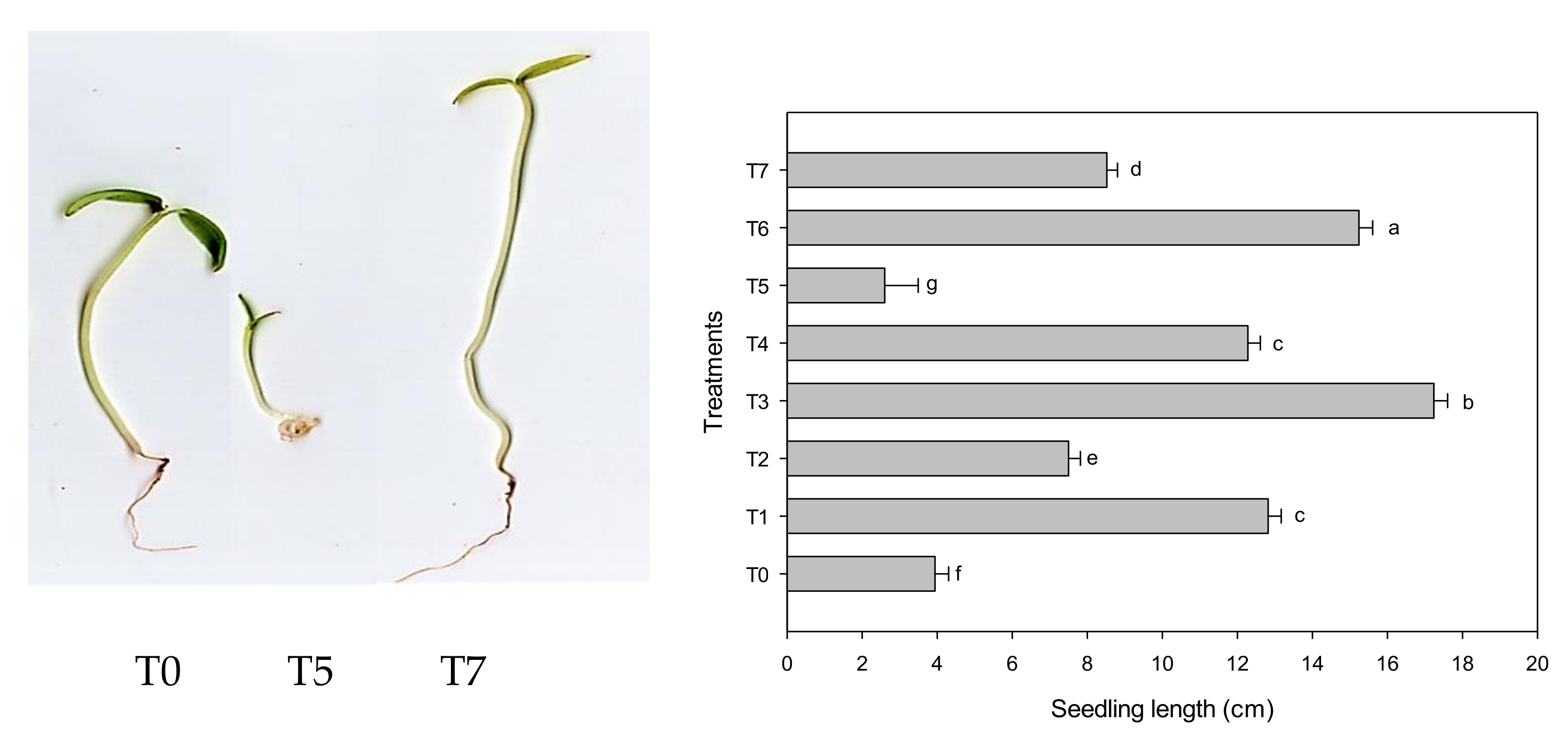 Agriculture 13 00006 g002