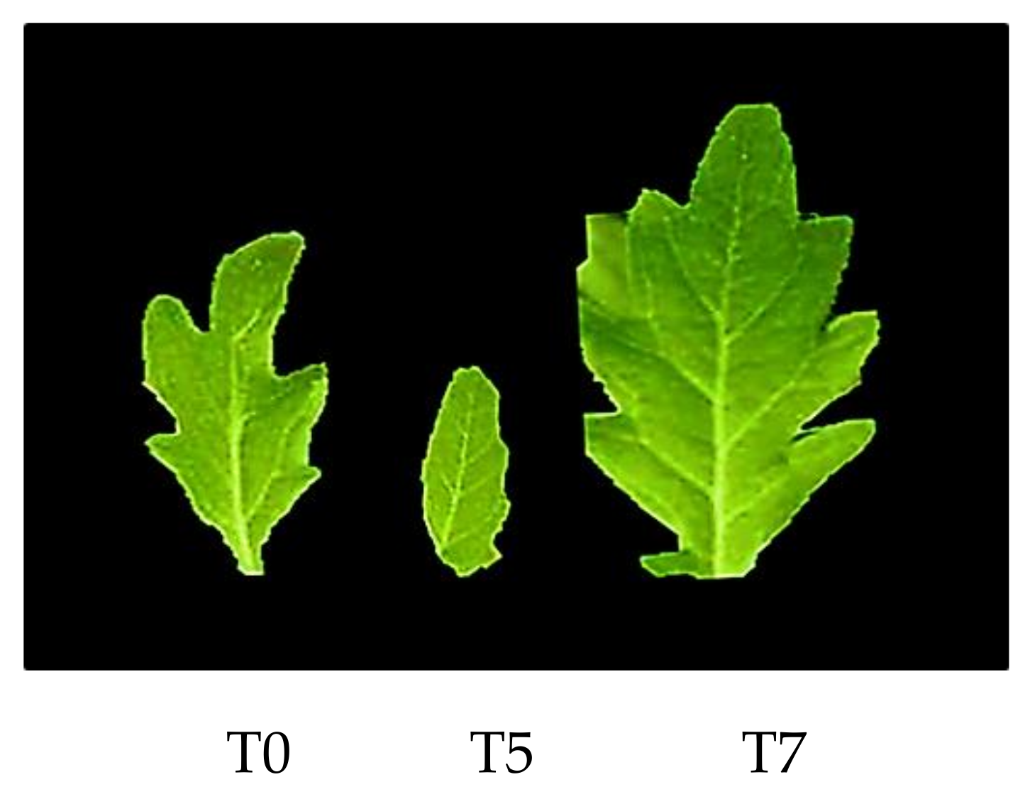 Agriculture 13 00006 g003