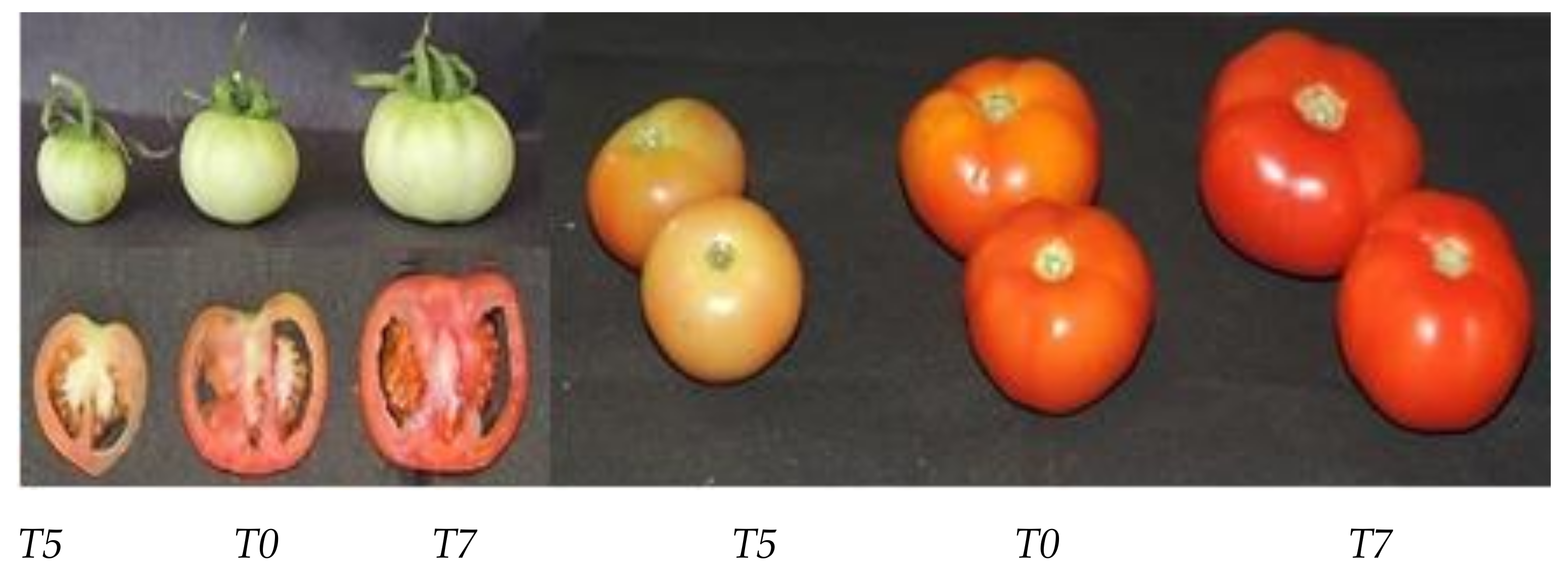 Agriculture 13 00006 g008