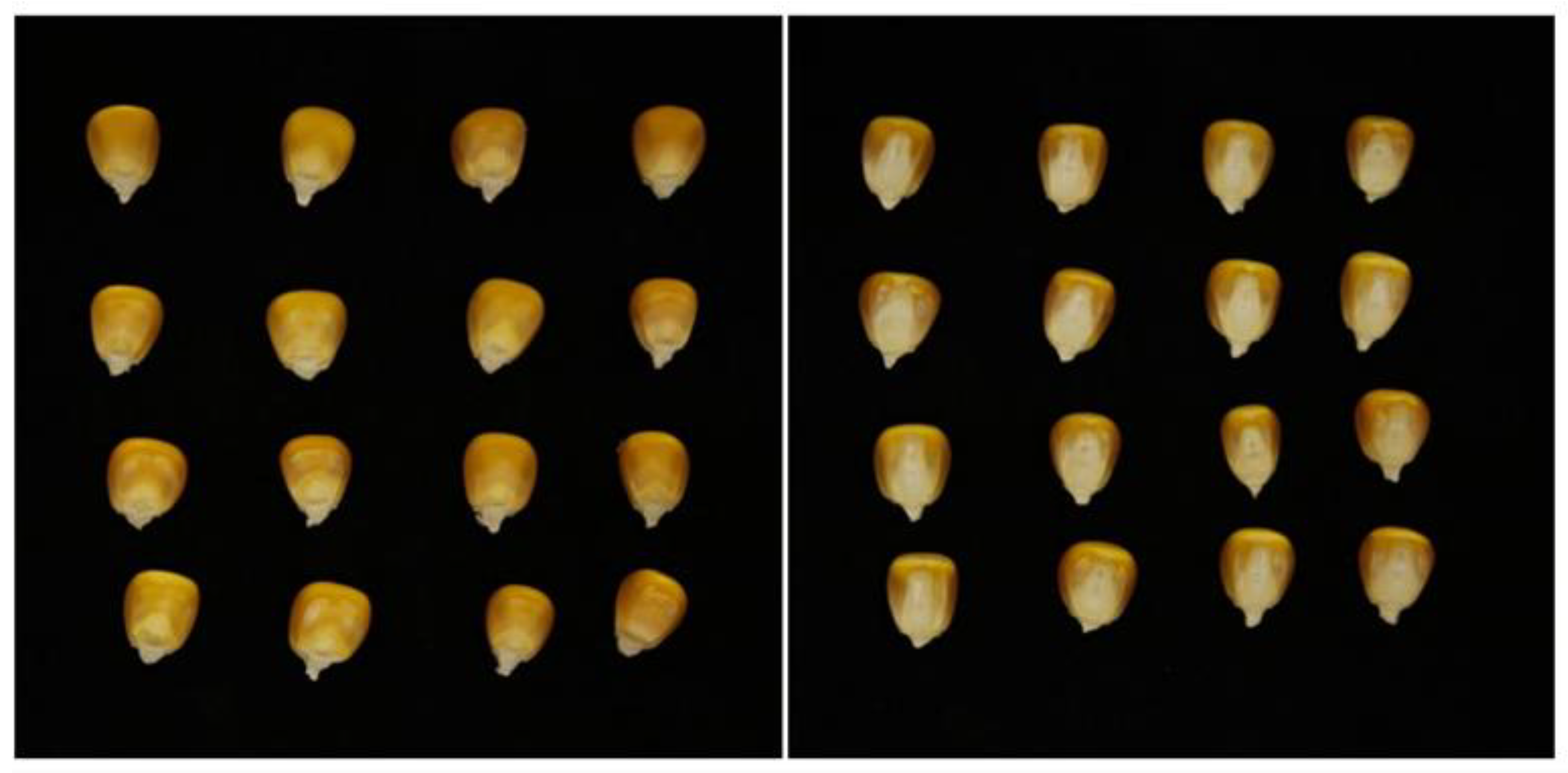 Agriculture 13 00011 g001