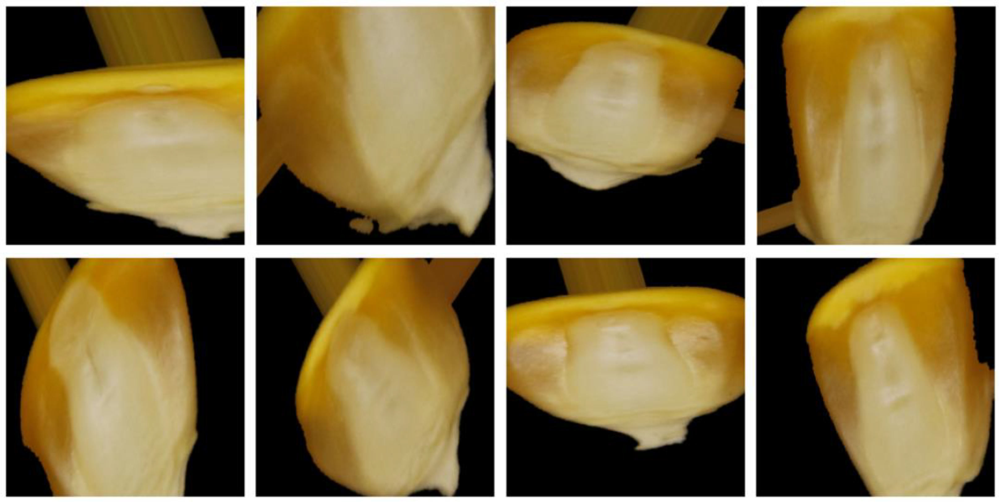 Agriculture 13 00011 g003