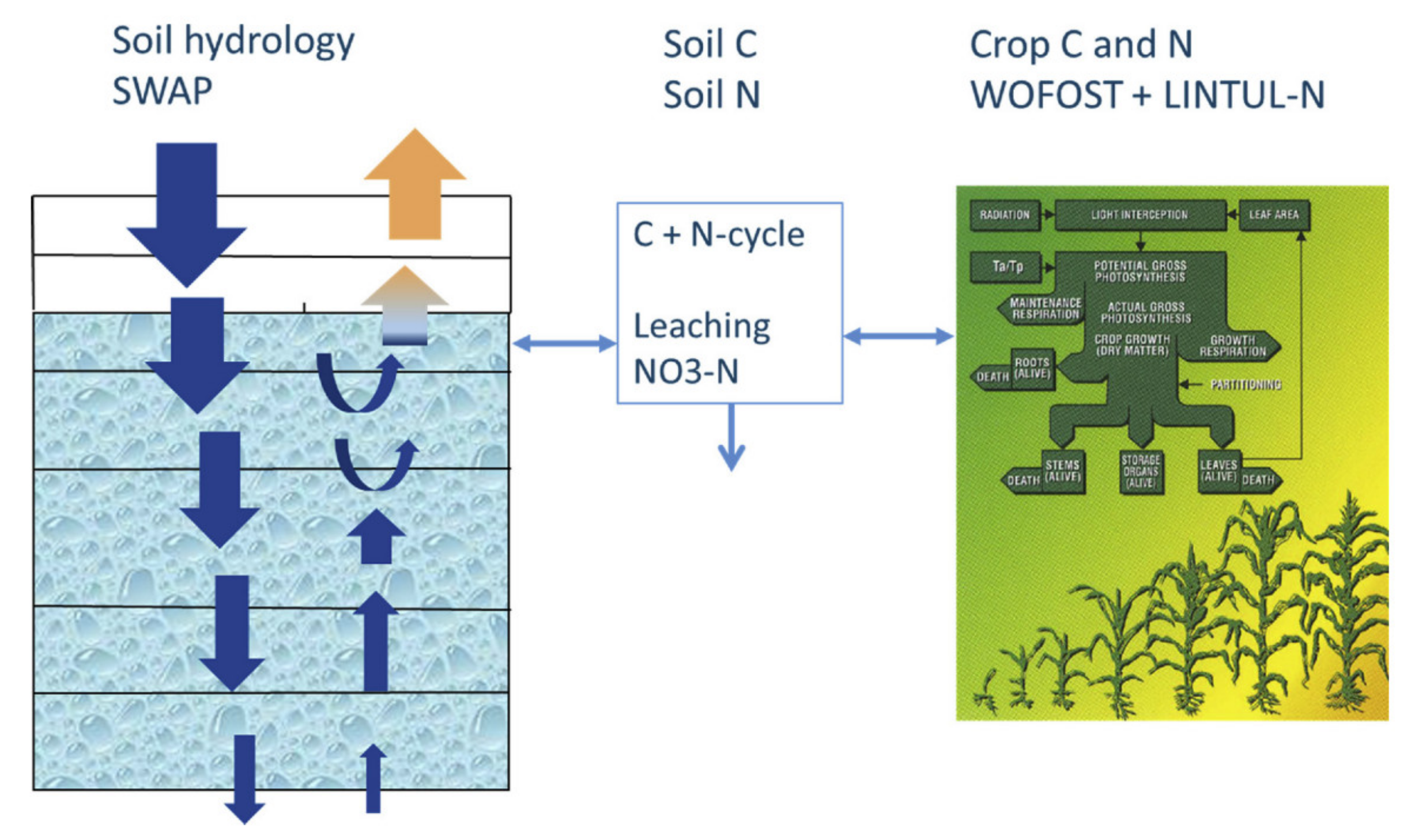Agriculture 13 00017 g003