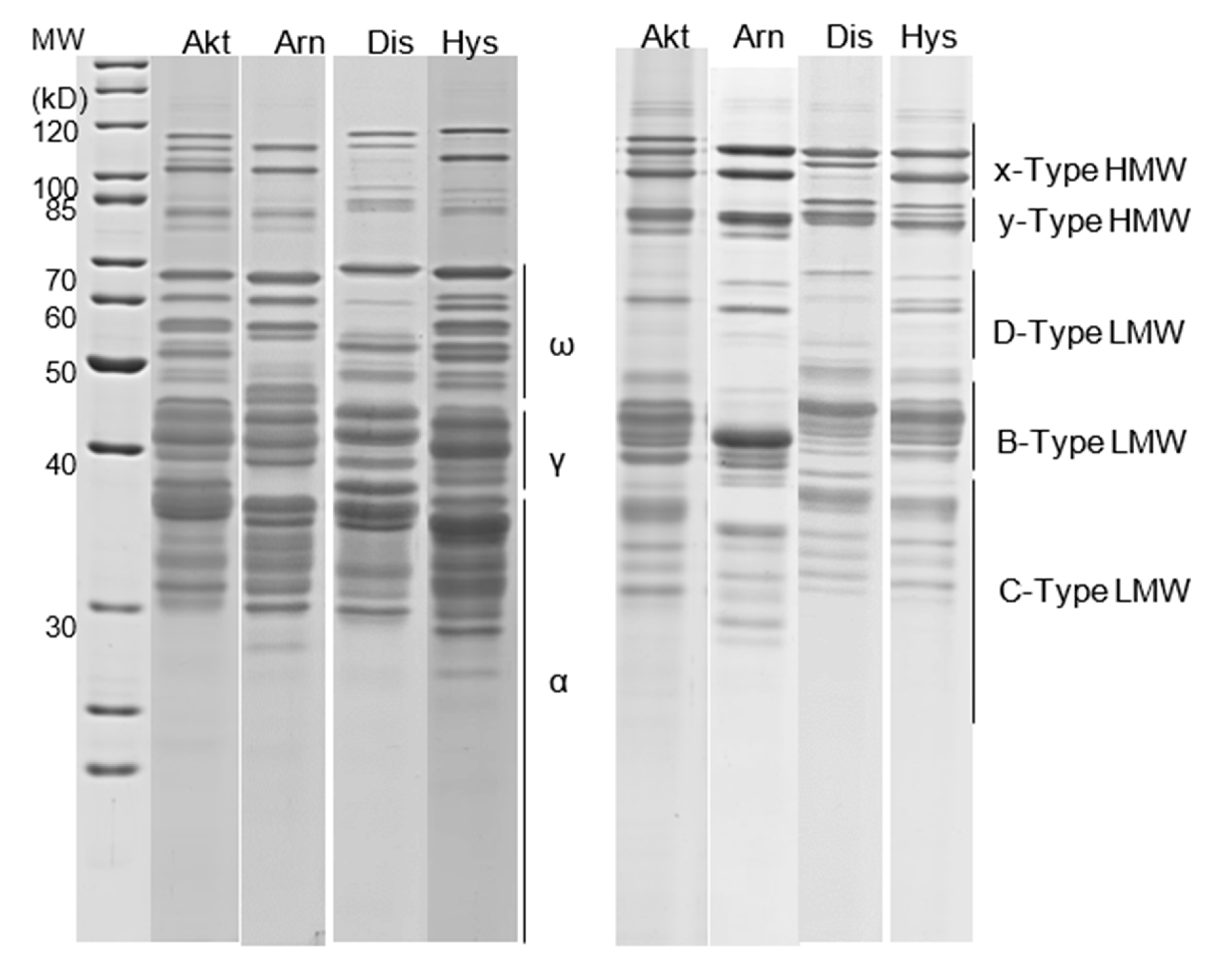 Agriculture 13 00020 g001