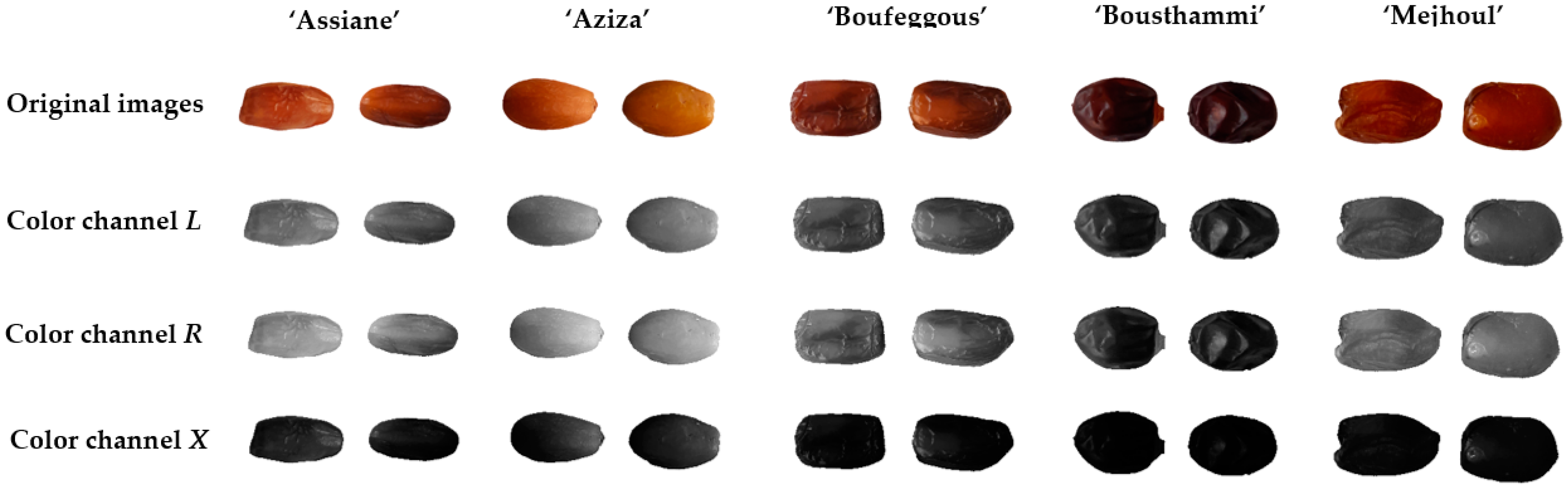 Agriculture 13 00026 g001