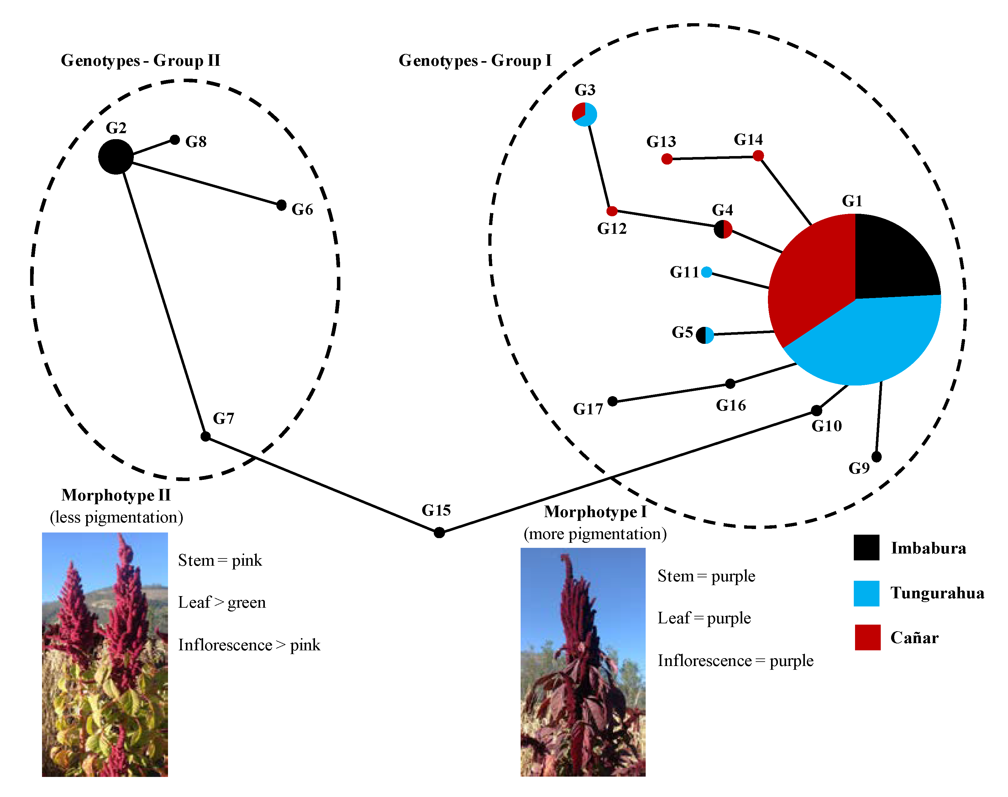 Agriculture 13 00034 g004