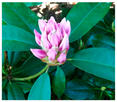 Agriculture 13 00036 i003