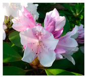 Agriculture 13 00036 i004