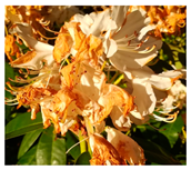 Agriculture 13 00036 i009