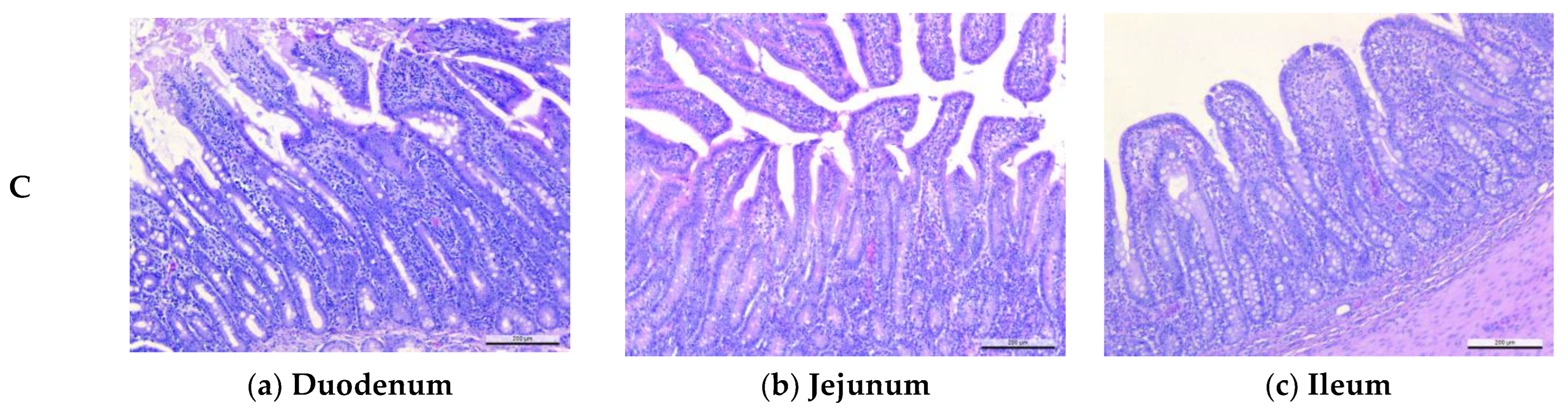 Agriculture 13 00039 g002a