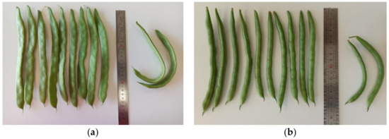 Agriculture 13 00046 g0a1