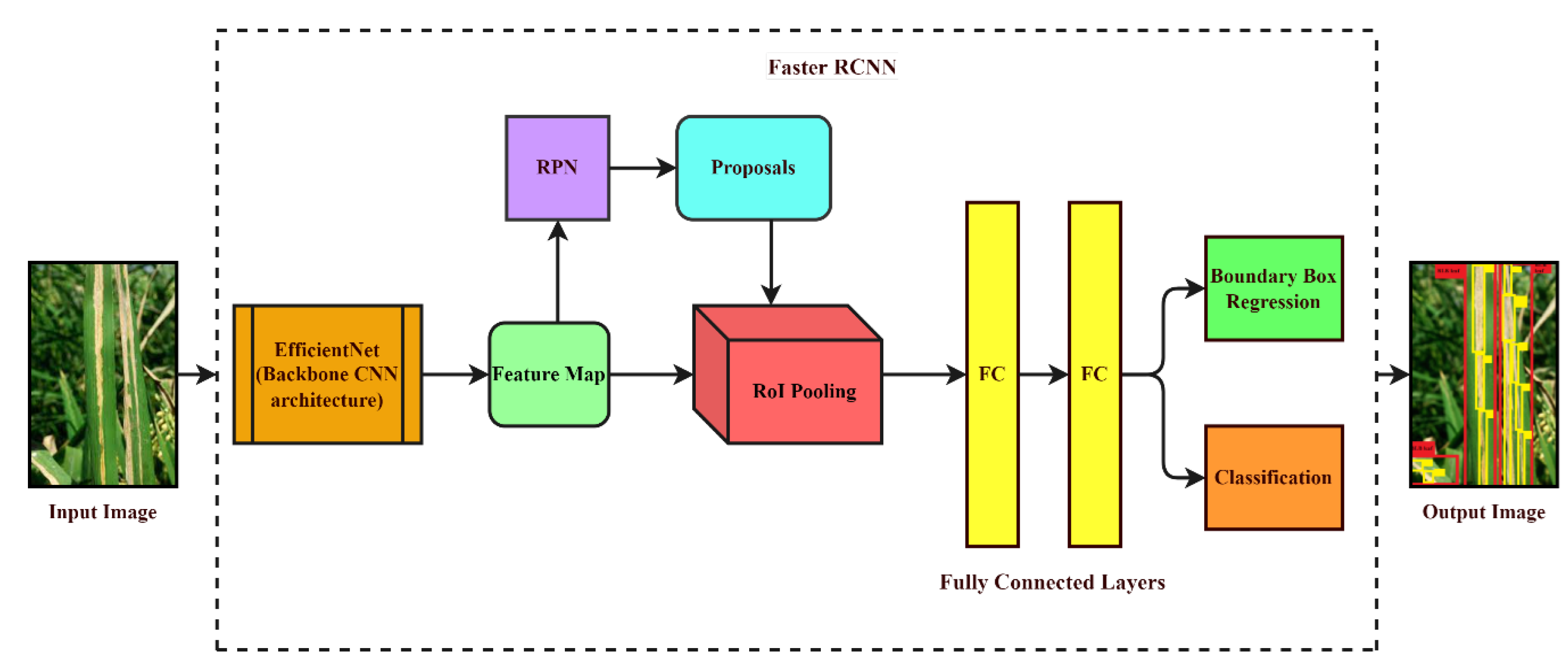 Agriculture 13 00047 g002