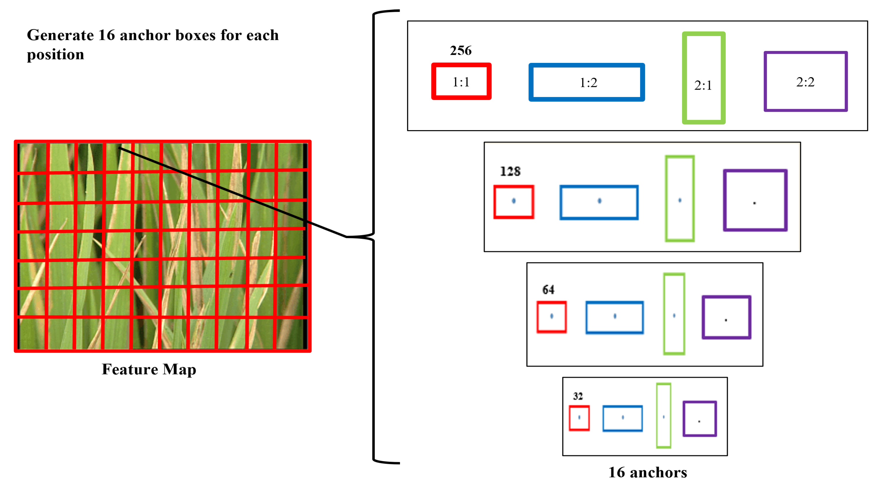 Agriculture 13 00047 g004