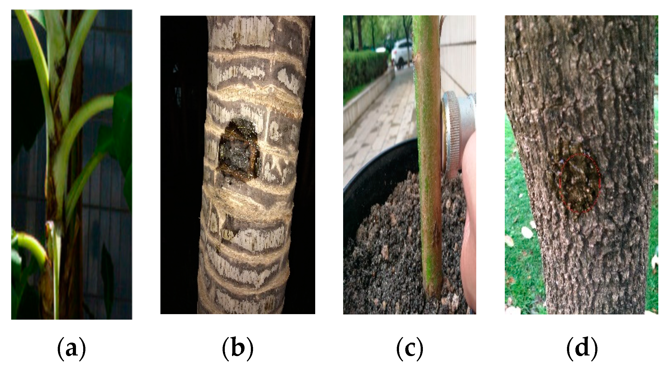 Agriculture 13 00052 g002