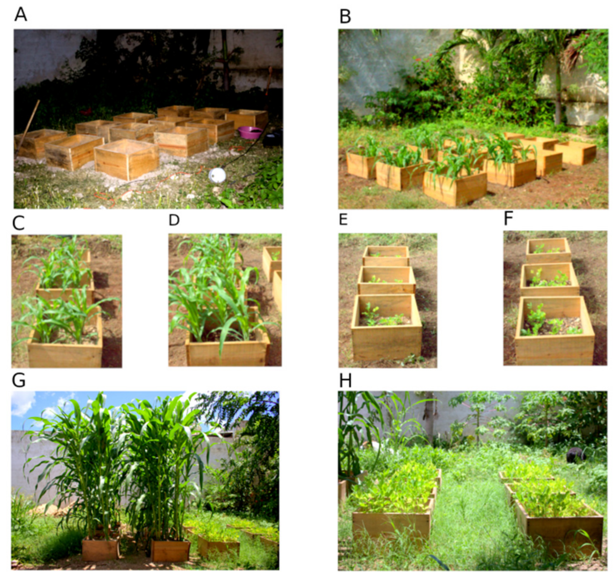 Agriculture 13 00059 g004