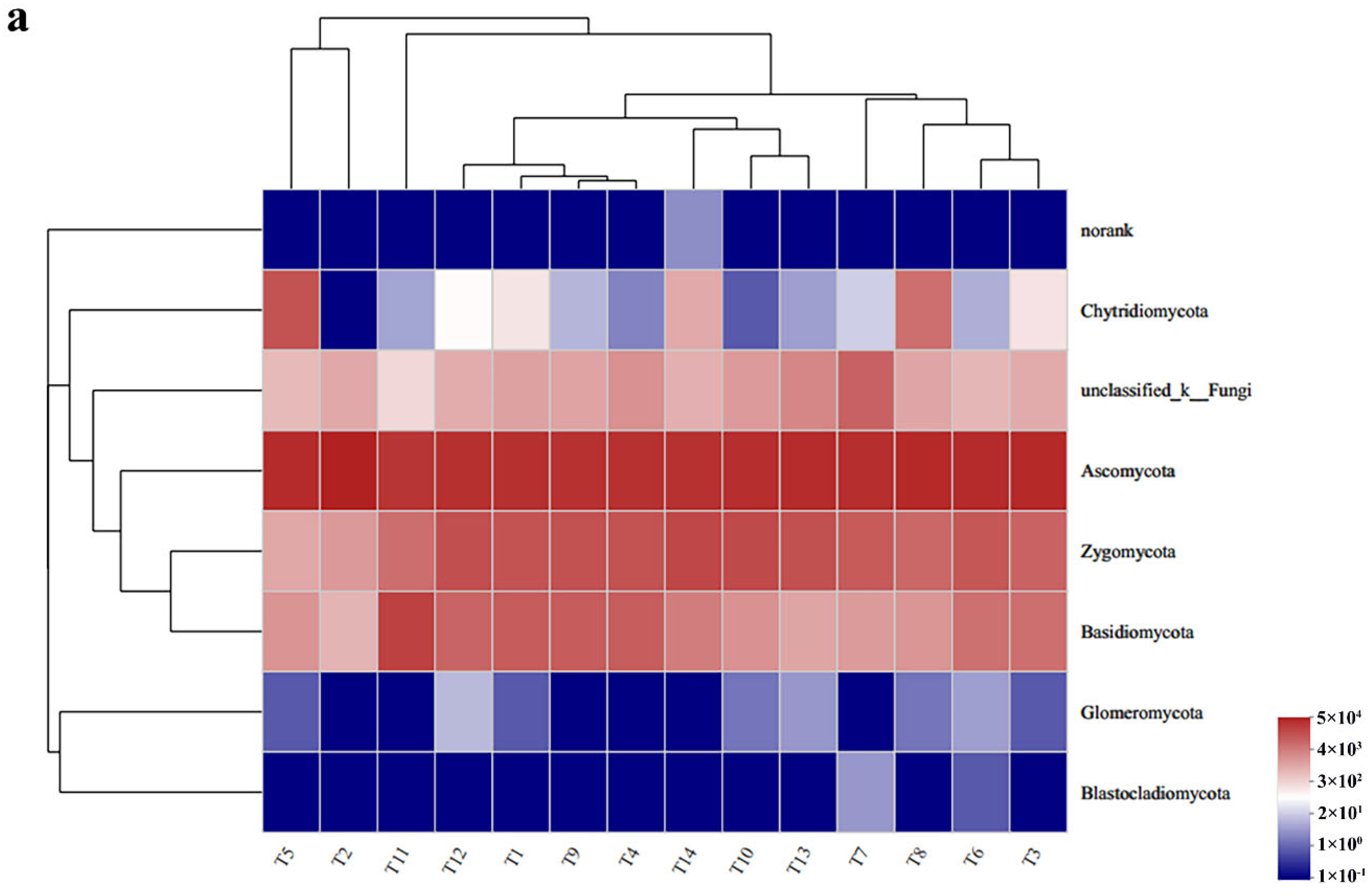 Agriculture 13 00063 g003a