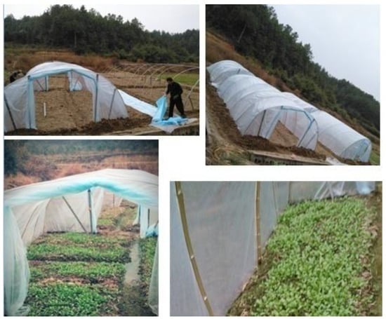 Agriculture 13 00066 g002