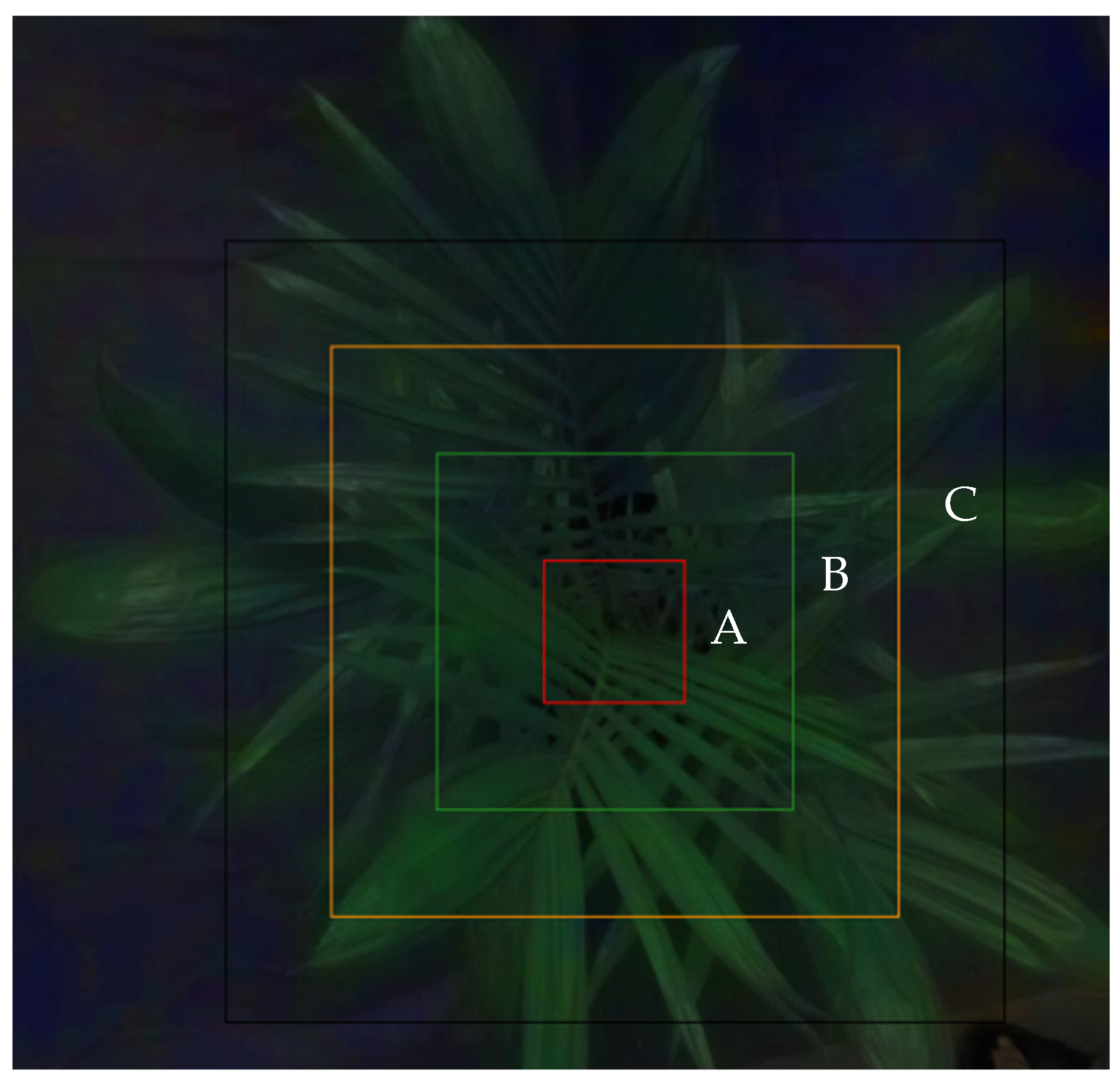Agriculture 13 00069 g002