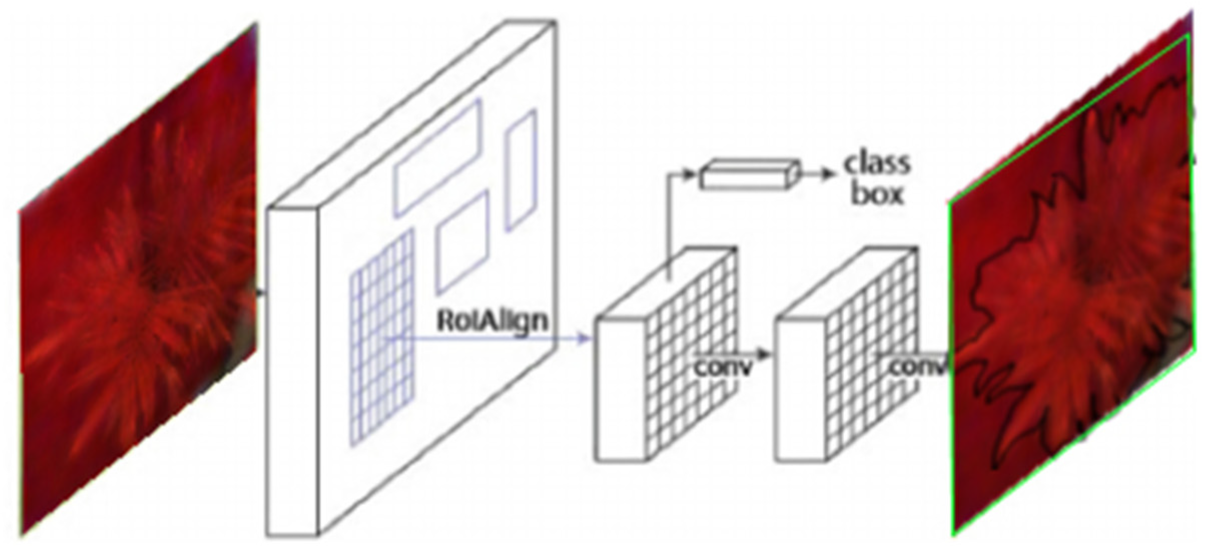 Agriculture 13 00069 g006