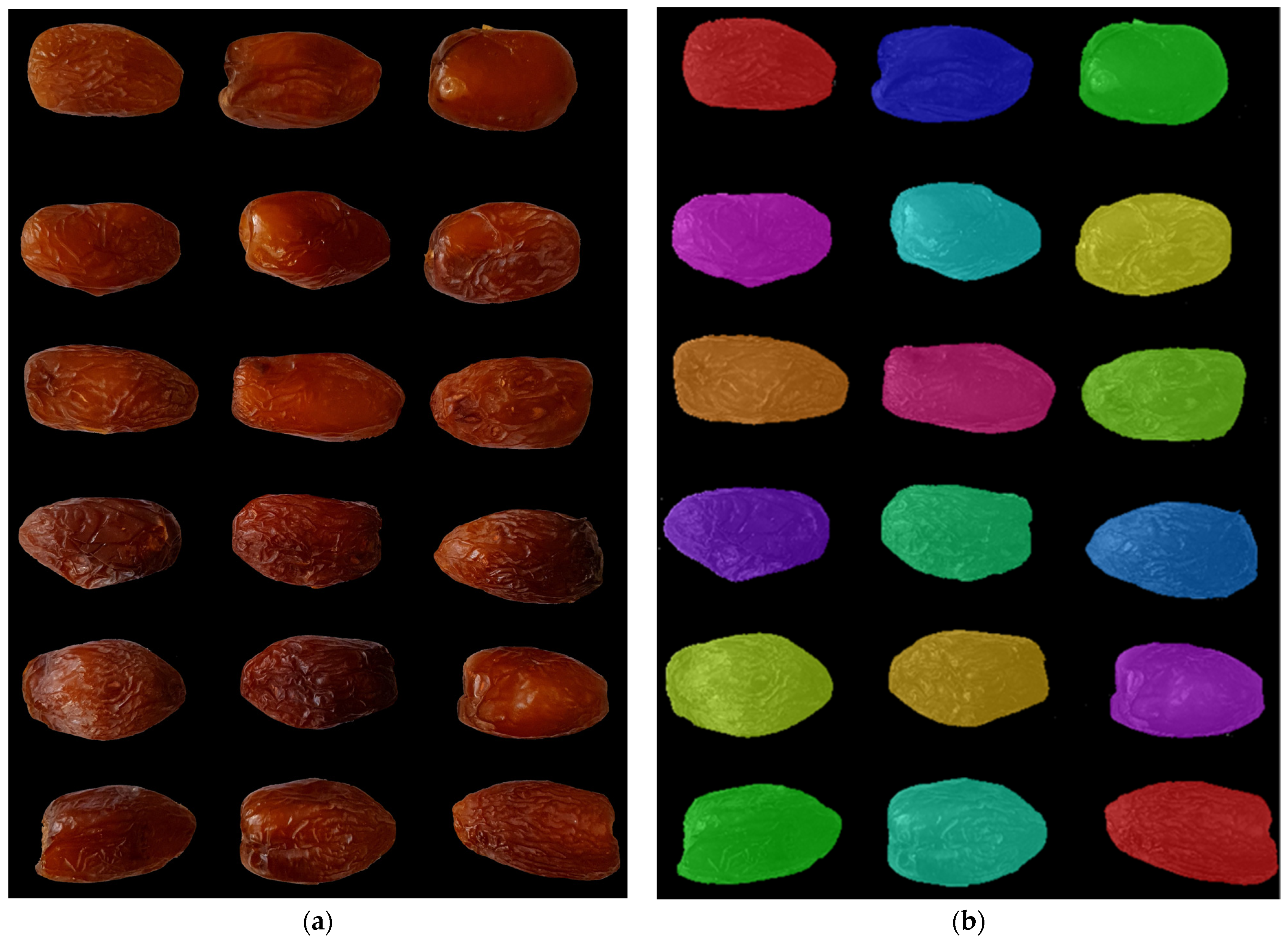 Agriculture 13 00074 g001