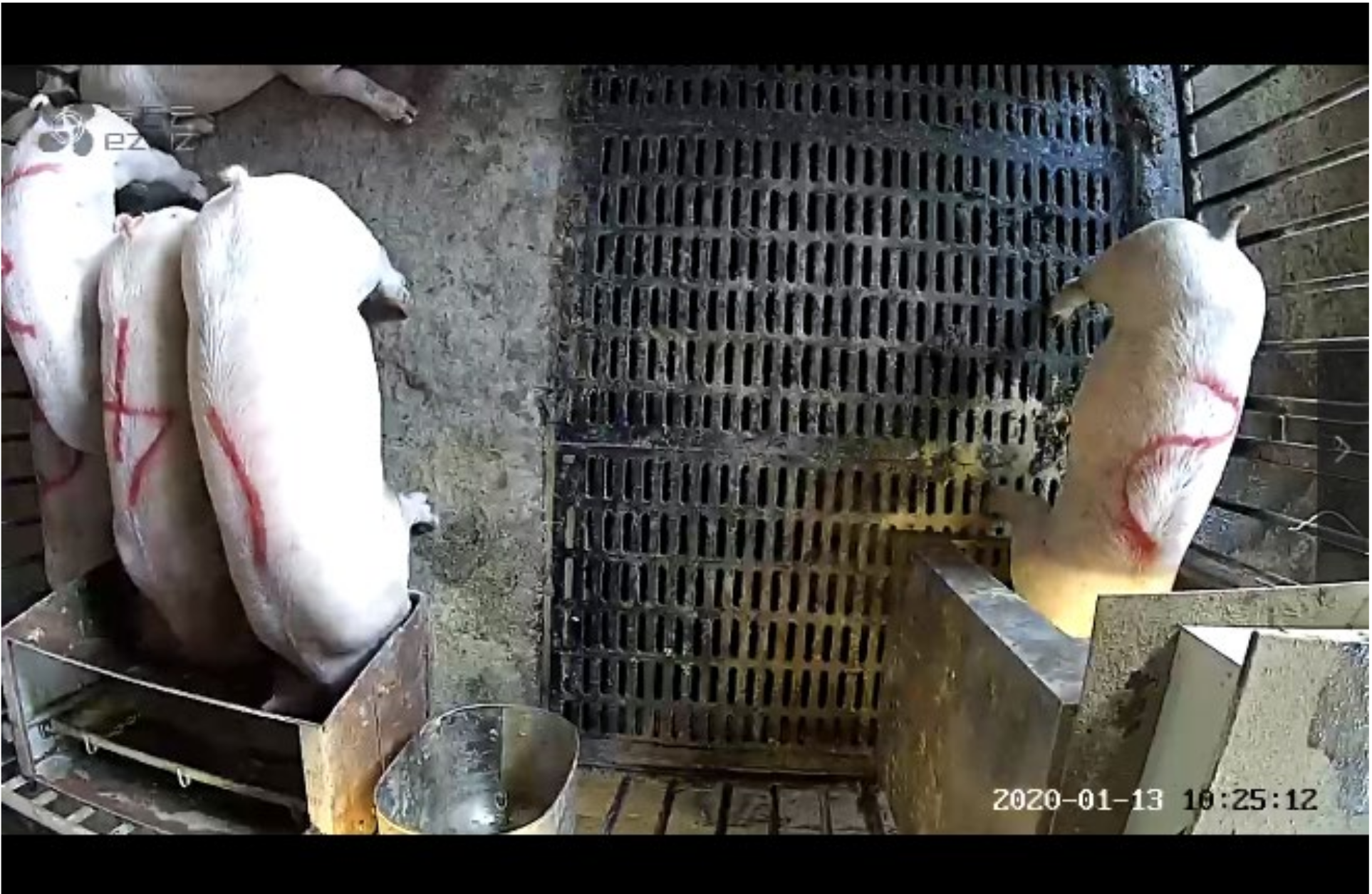 Agriculture 13 00103 g003