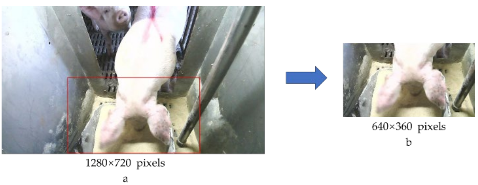 Agriculture 13 00103 g004