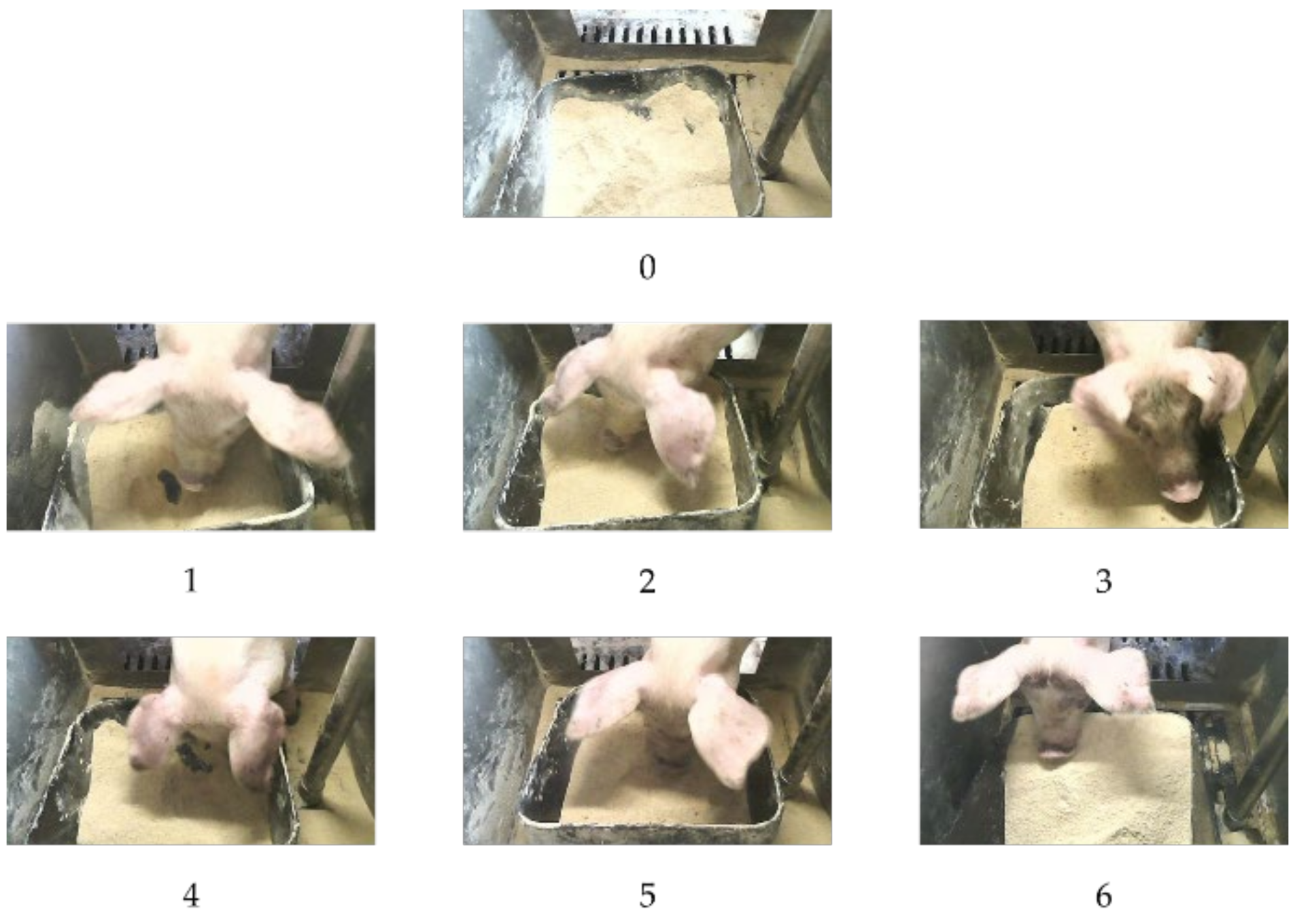 Agriculture 13 00103 g005