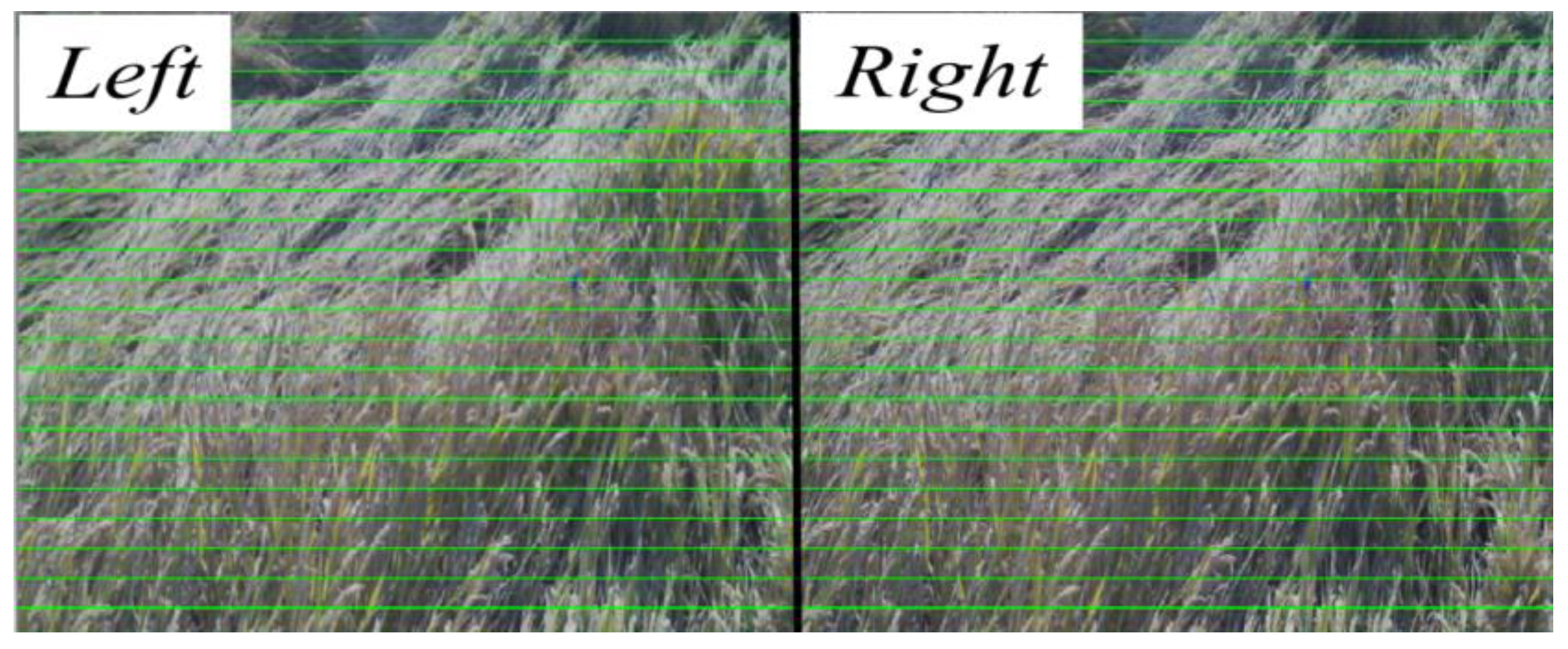 Agriculture 13 00120 g008 Agriculture 13 00120 g008