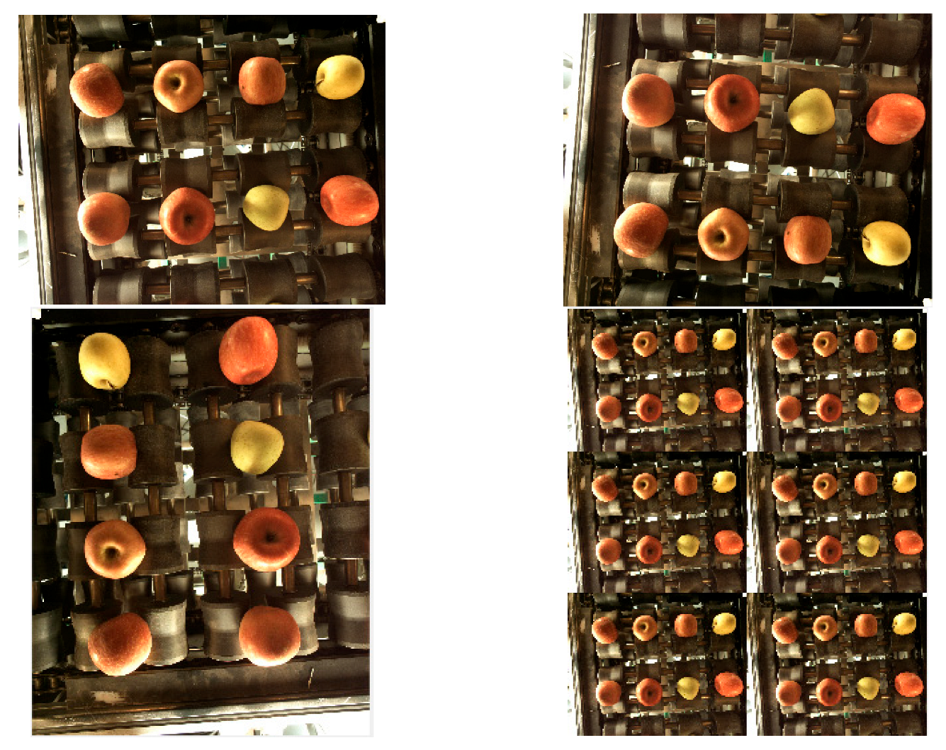 Agriculture 13 00124 g007