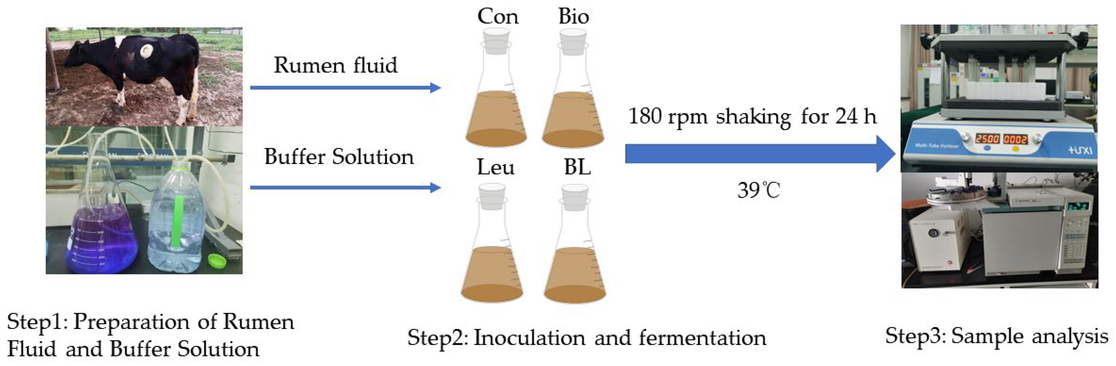 Agriculture 13 00145 g001