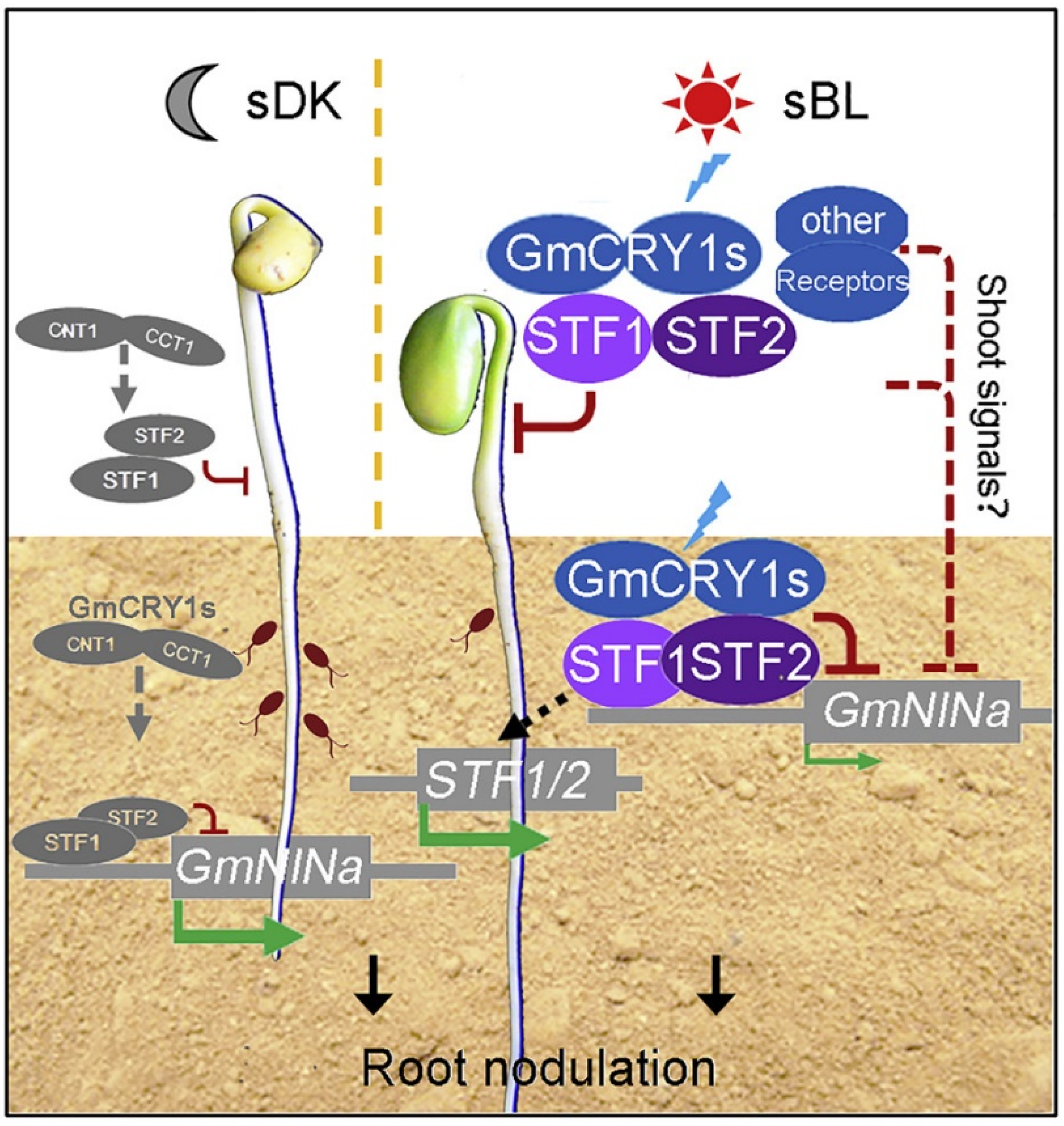 Agriculture 13 00146 g001