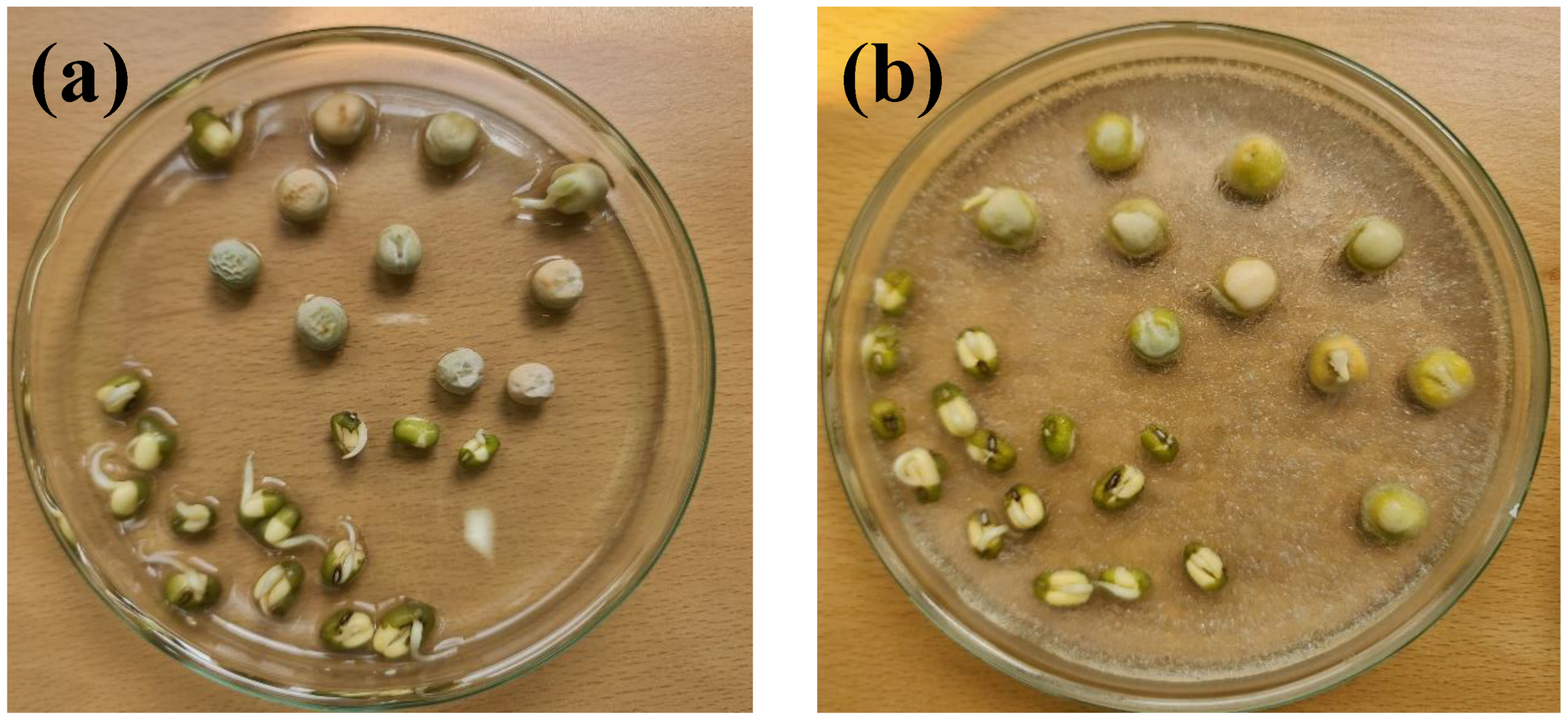 Agriculture 13 00152 g003