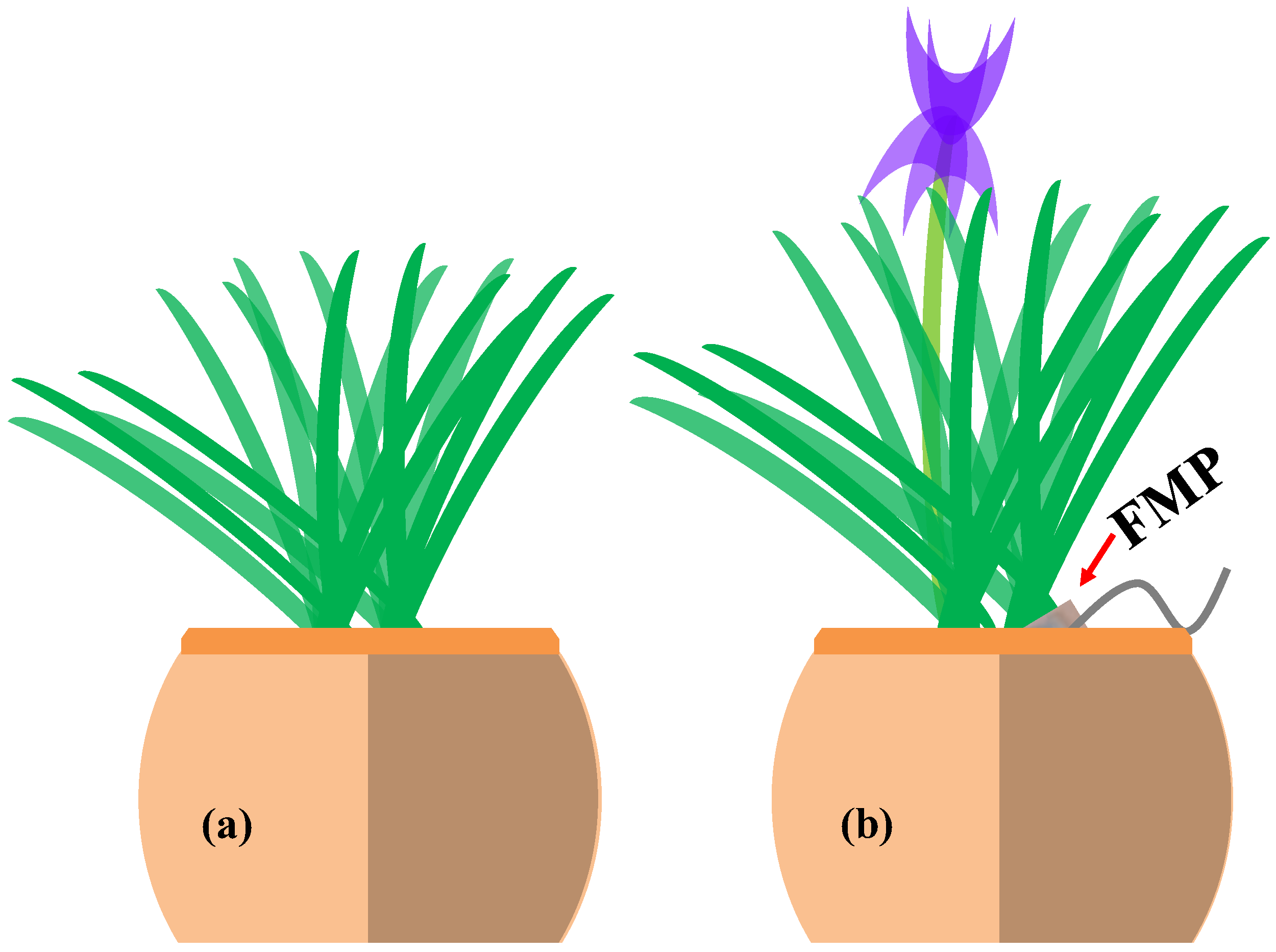 Agriculture 13 00152 g004