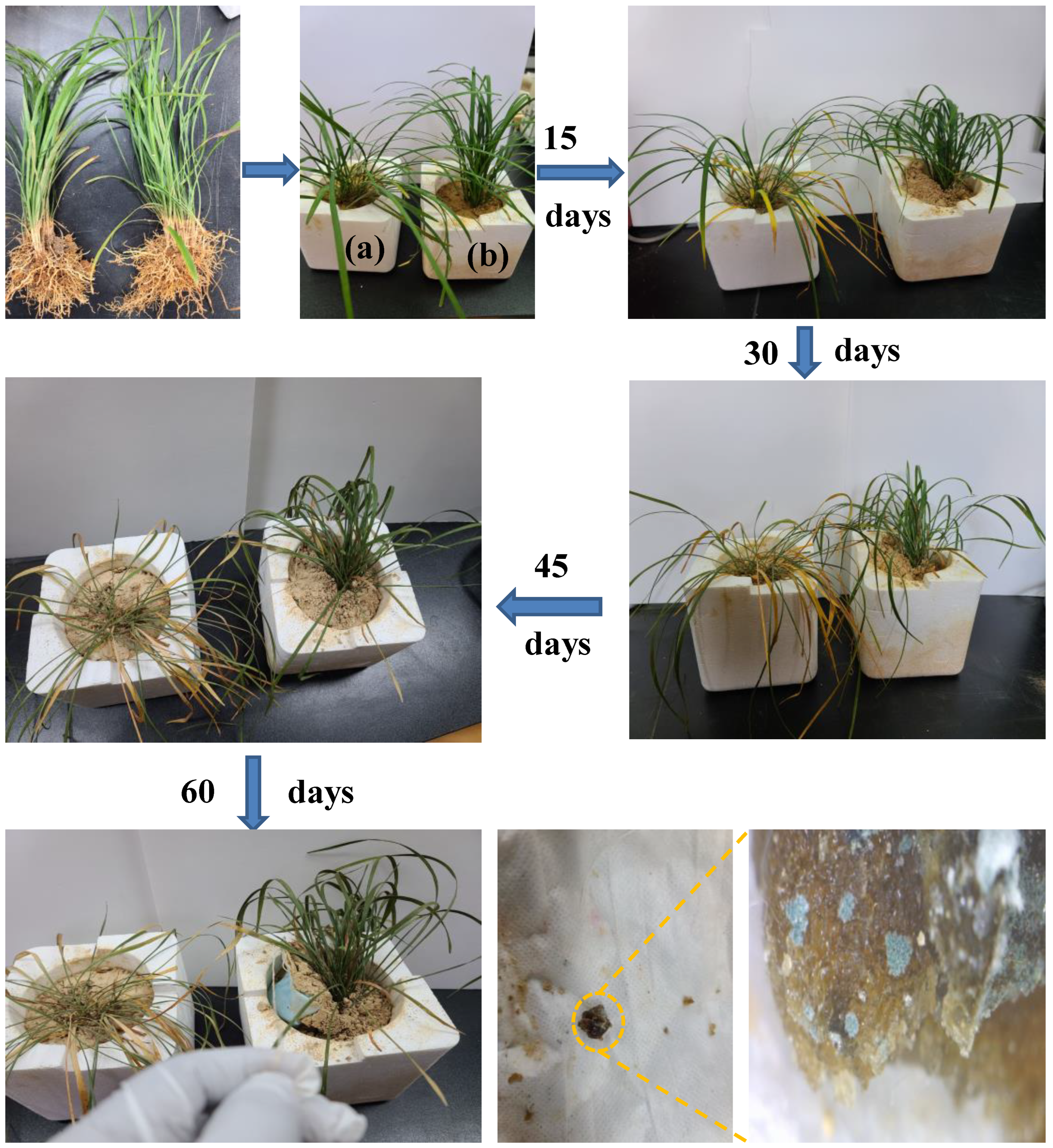 Agriculture 13 00152 g006