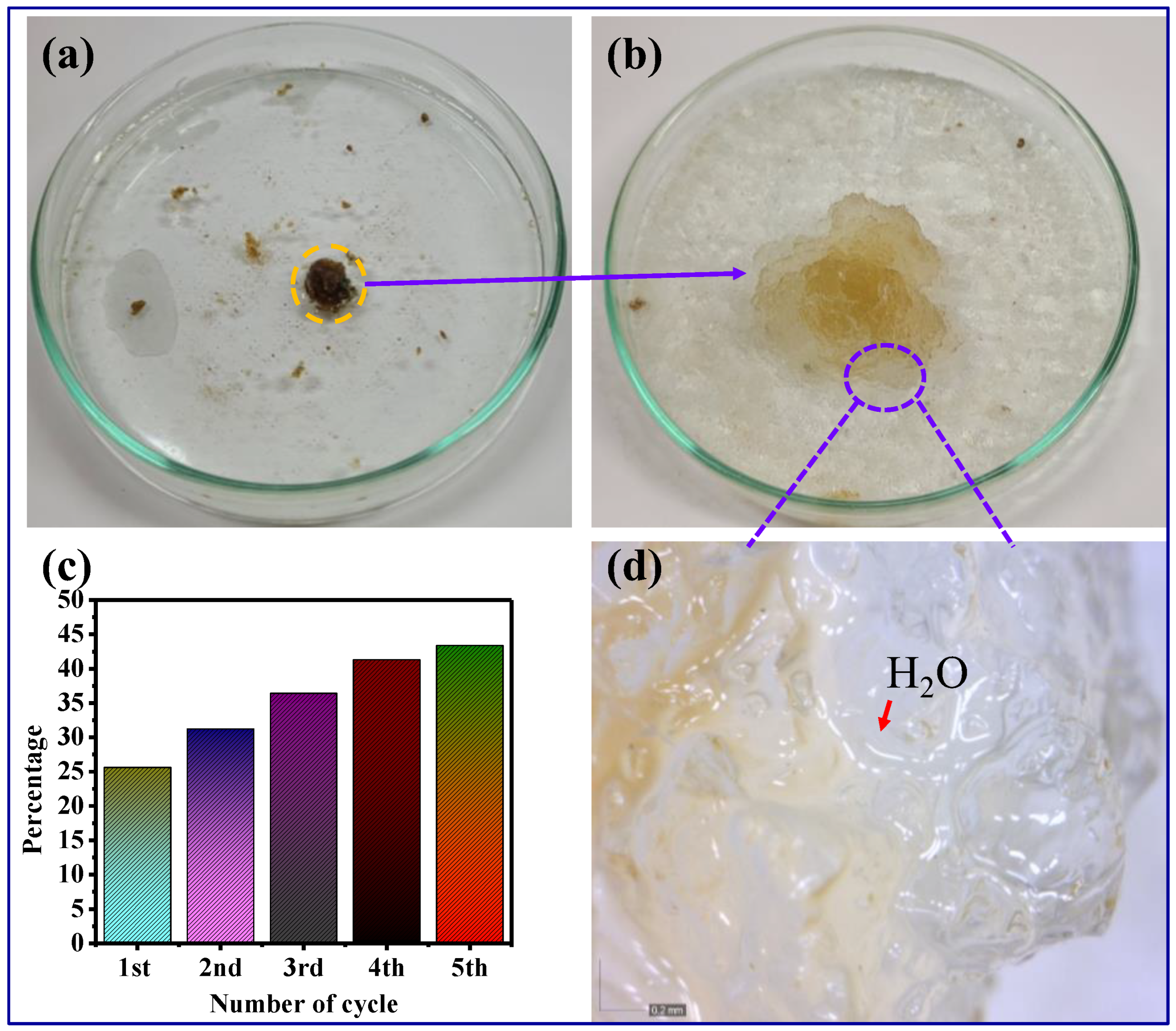 Agriculture 13 00152 g007