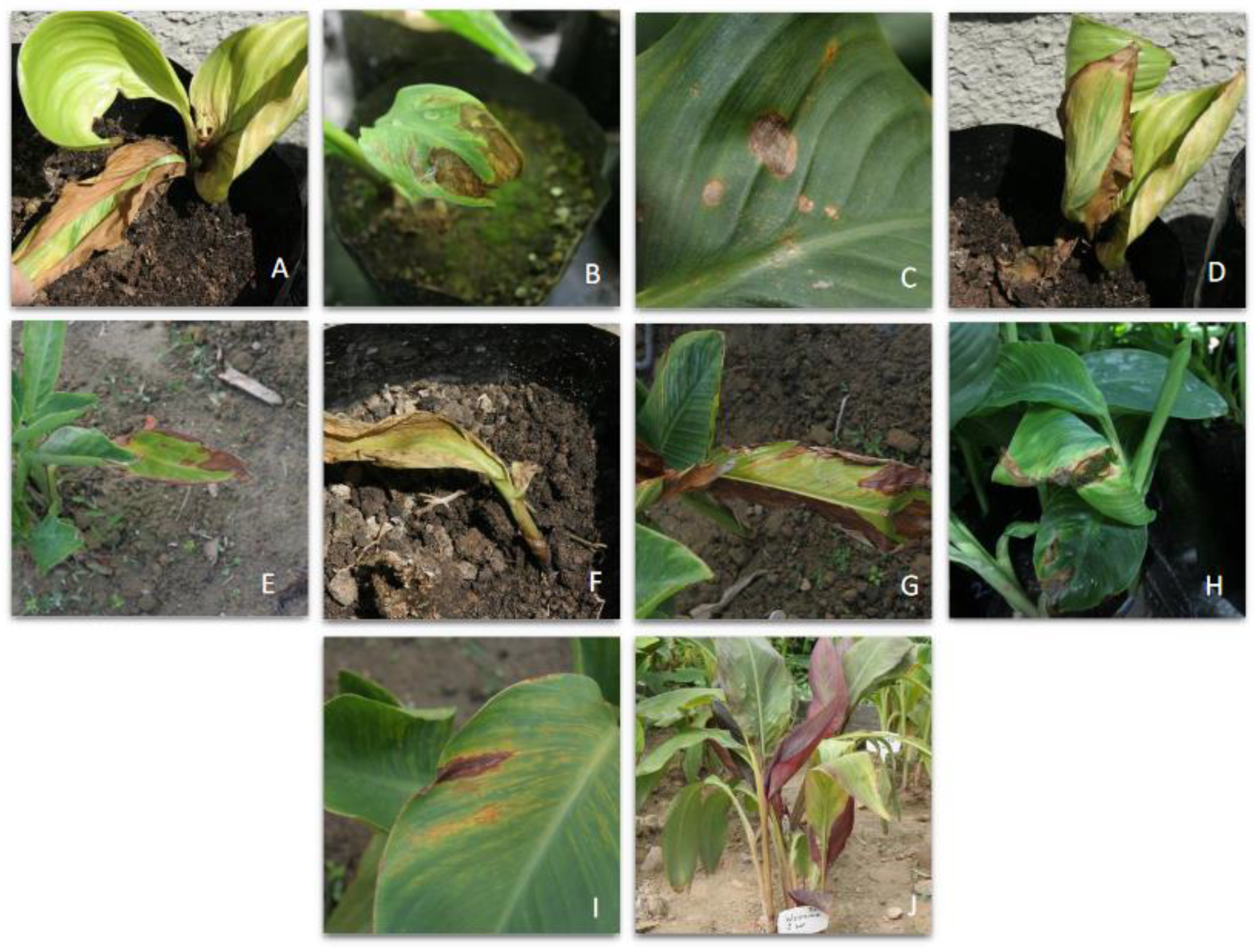 Agriculture 13 00157 g005